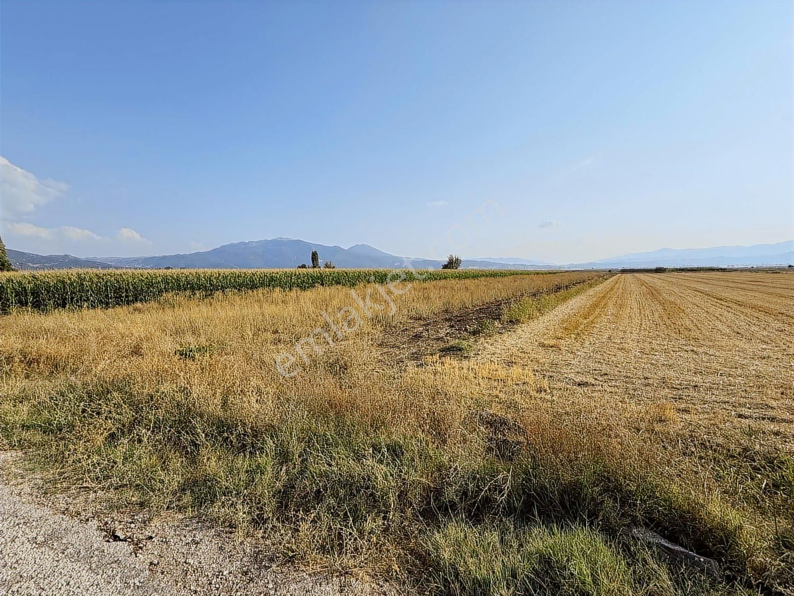 Century 21 Net'ten Gölhisar/yamadı(ana Asfalta Sıfır) Tarla - Görsel 4