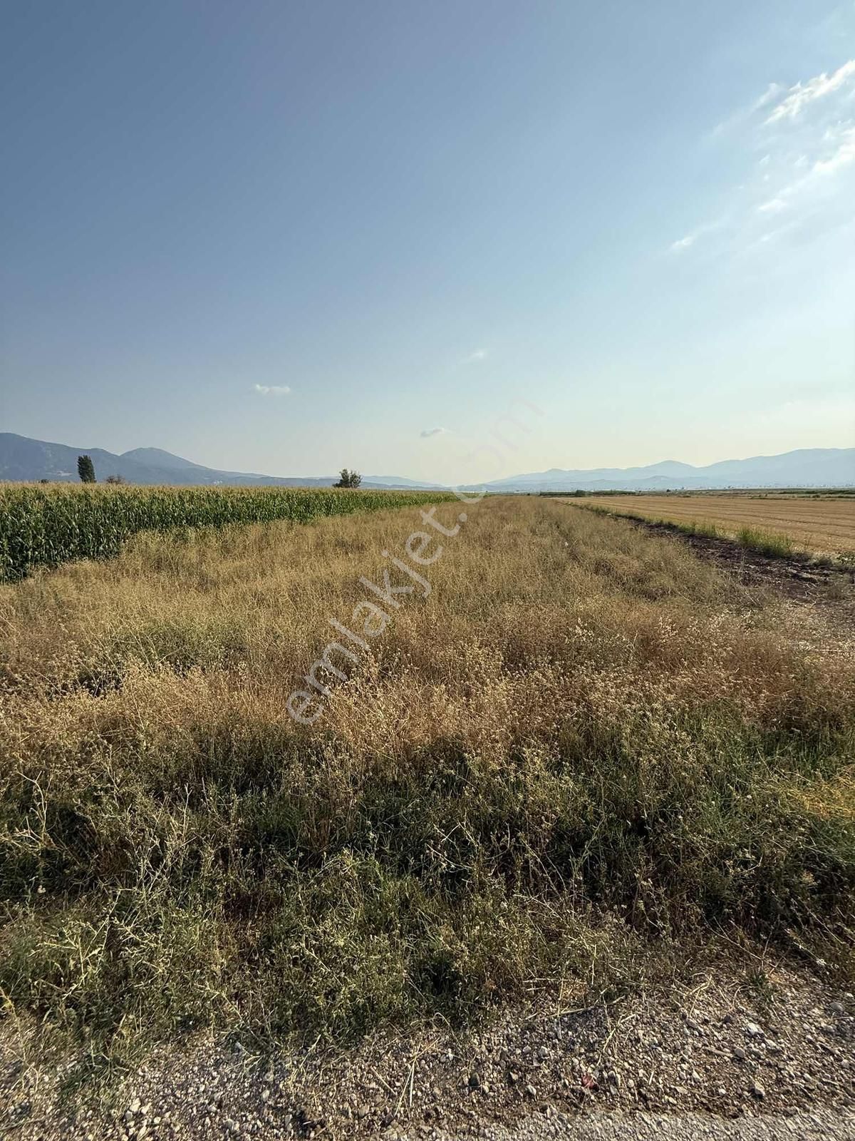 Century 21 Net'ten Gölhisar/yamadı(ana Asfalta Sıfır) Tarla - Görsel 9