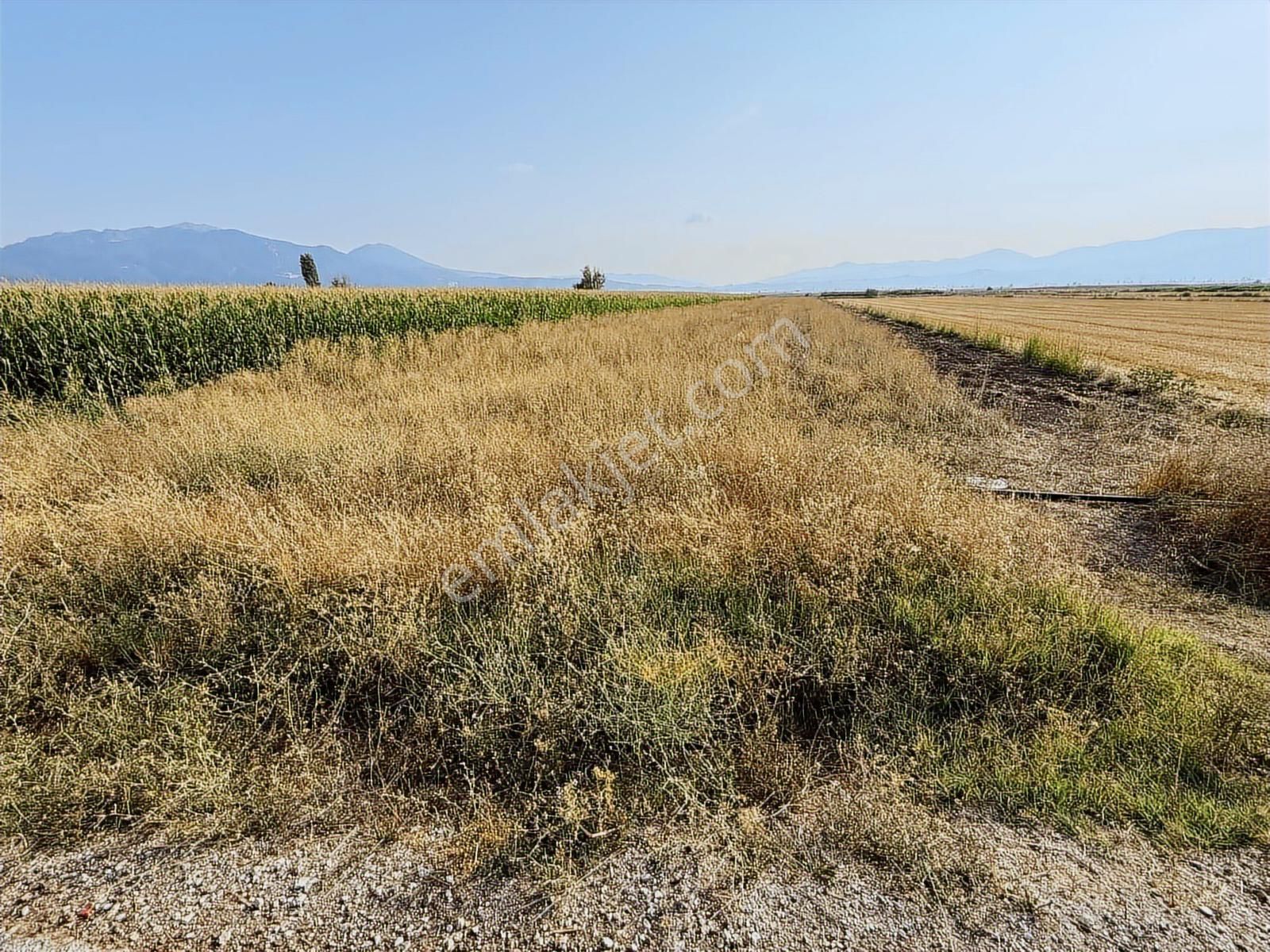 Century 21 Net'ten Gölhisar/yamadı(ana Asfalta Sıfır) Tarla - Görsel 3