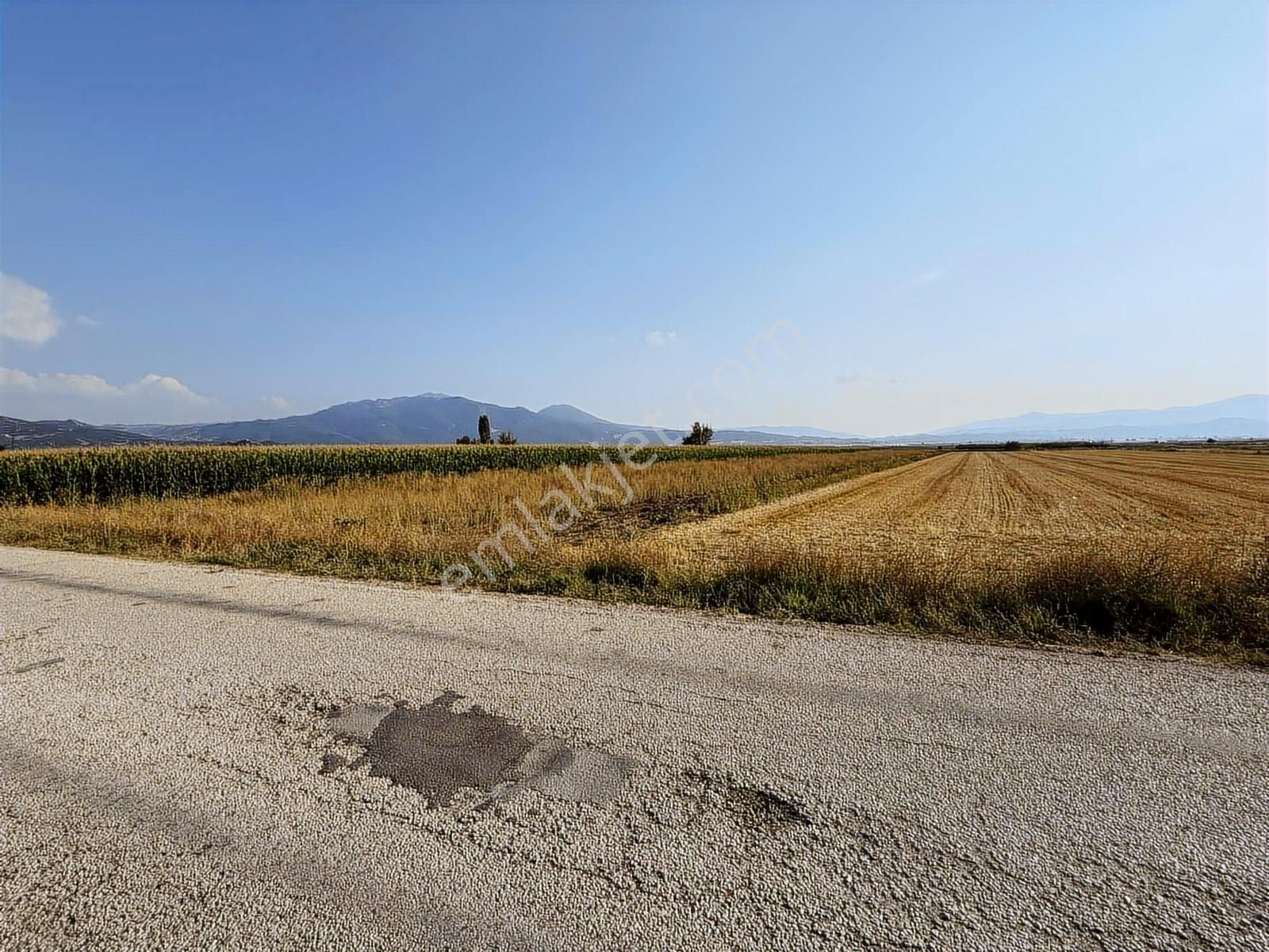 Century 21 Net'ten Gölhisar/yamadı(ana Asfalta Sıfır) Tarla - Görsel 6