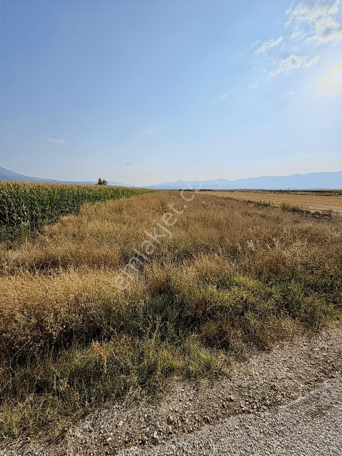 Century 21 Net'ten Gölhisar/yamadı(ana Asfalta Sıfır) Tarla - Görsel 10