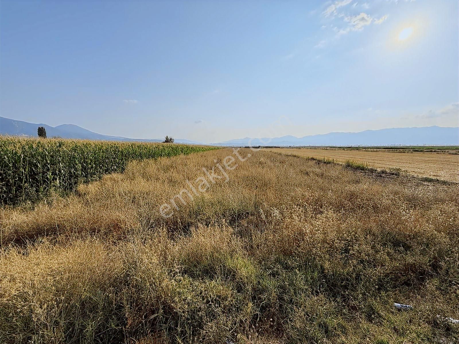 Century 21 Net'ten Gölhisar/yamadı(ana Asfalta Sıfır) Tarla