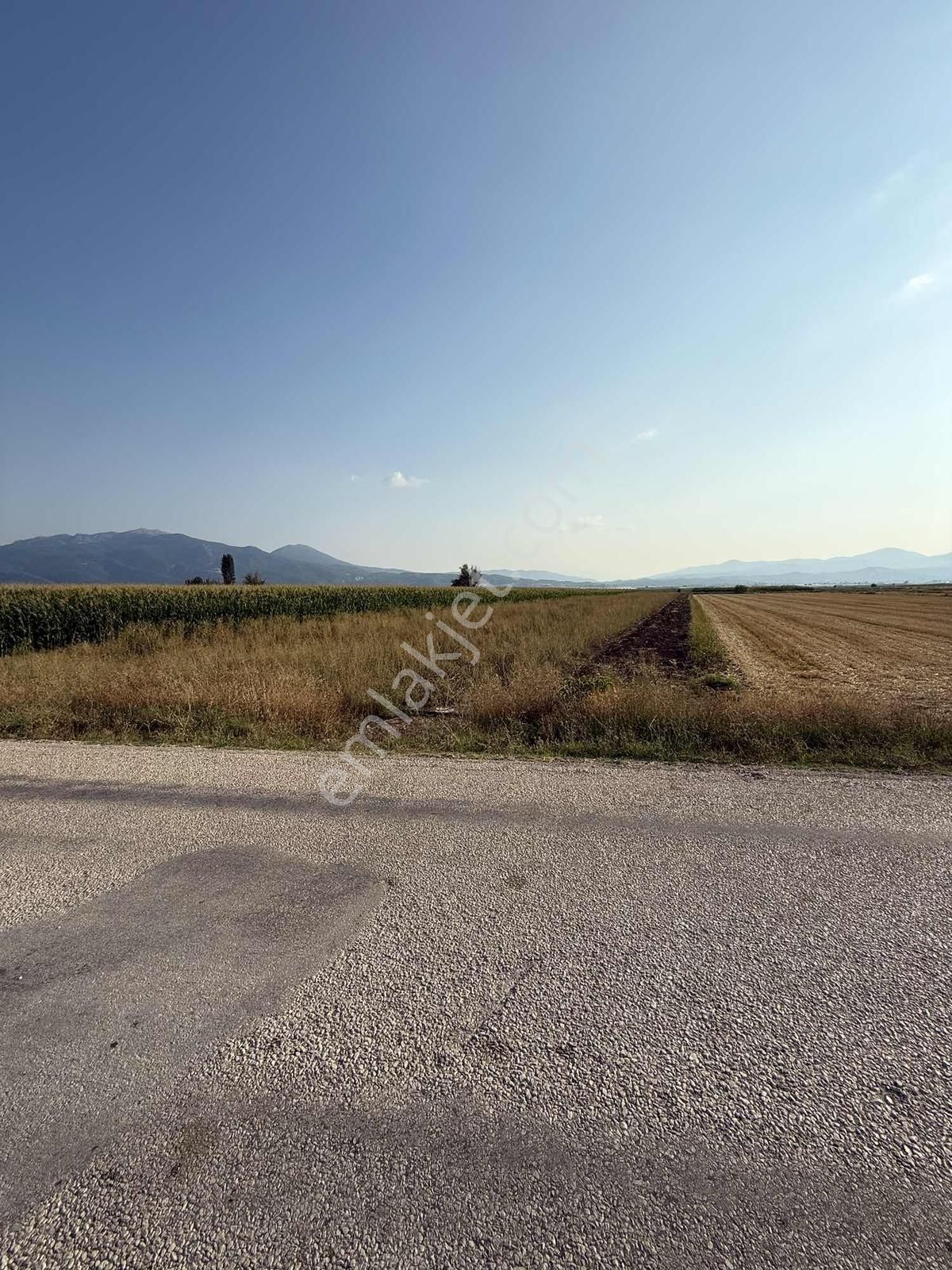 Century 21 Net'ten Gölhisar/yamadı(ana Asfalta Sıfır) Tarla - Görsel 13