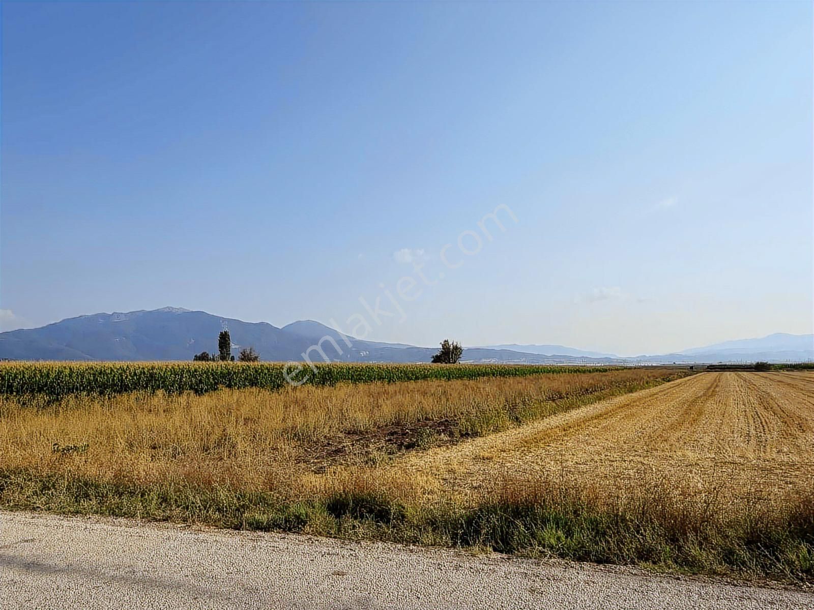 Century 21 Net'ten Gölhisar/yamadı(ana Asfalta Sıfır) Tarla - Görsel 5