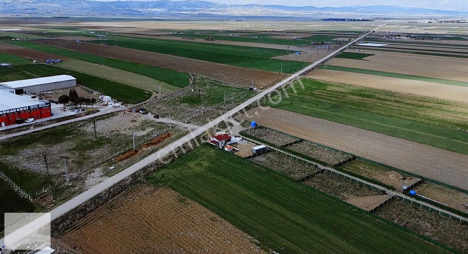 Alkan'dan Gelişim Bölgesinde Yatırımlık Hisse