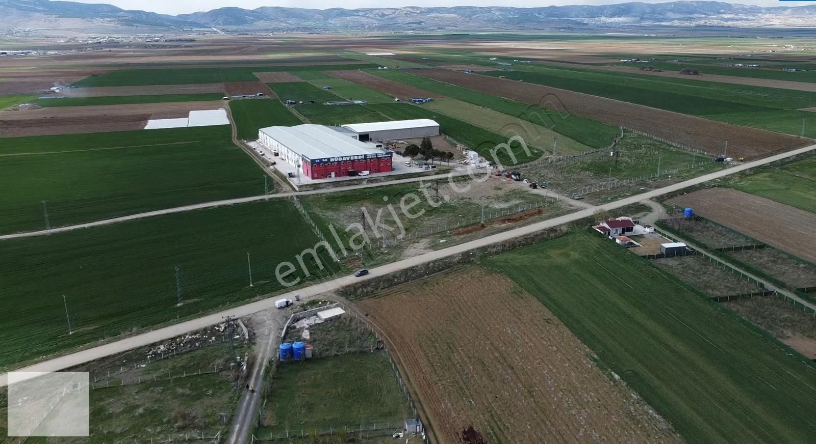 Alkan'dan Gelişim Bölgesinde Yatırımlık Hisse - Görsel 2