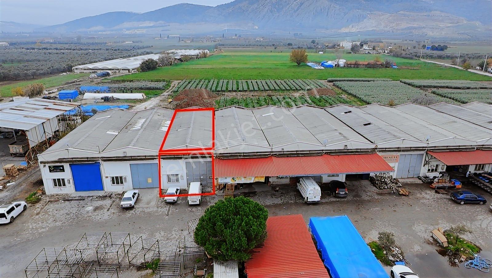Önder Yamanel Zeytin Borsasında Satılık Batarlı Dükkan - Görsel 26