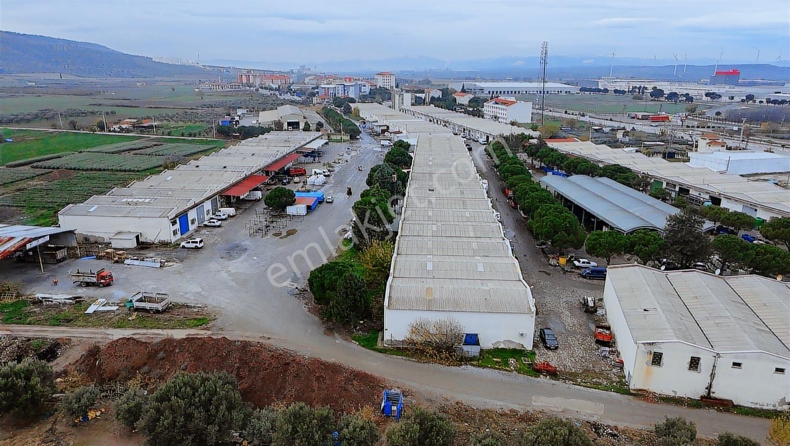 Önder Yamanel Zeytin Borsasında Satılık Batarlı Dükkan - Görsel 20