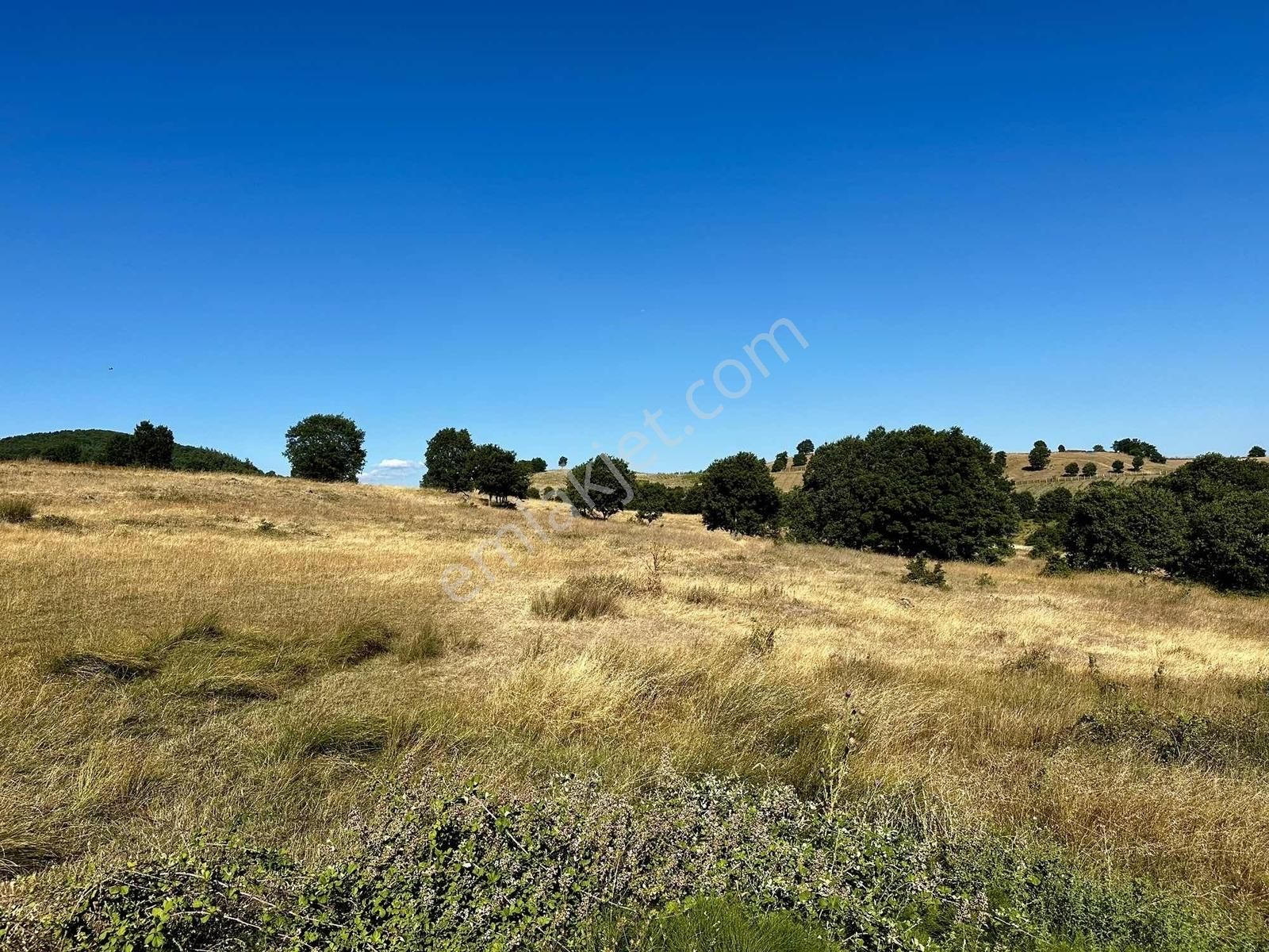 Yörükler'de Resmi Yola Cepheli 8 Dönüm Boş Tarla - Görsel 14