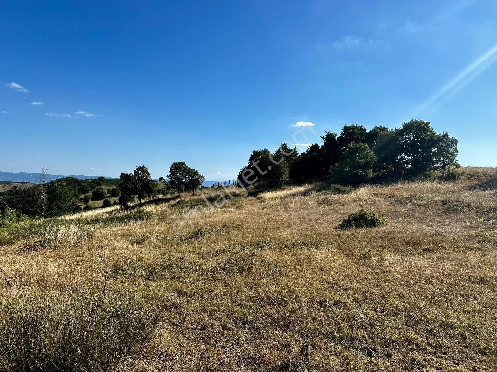 Yörükler'de Resmi Yola Cepheli 8 Dönüm Boş Tarla - Görsel 6