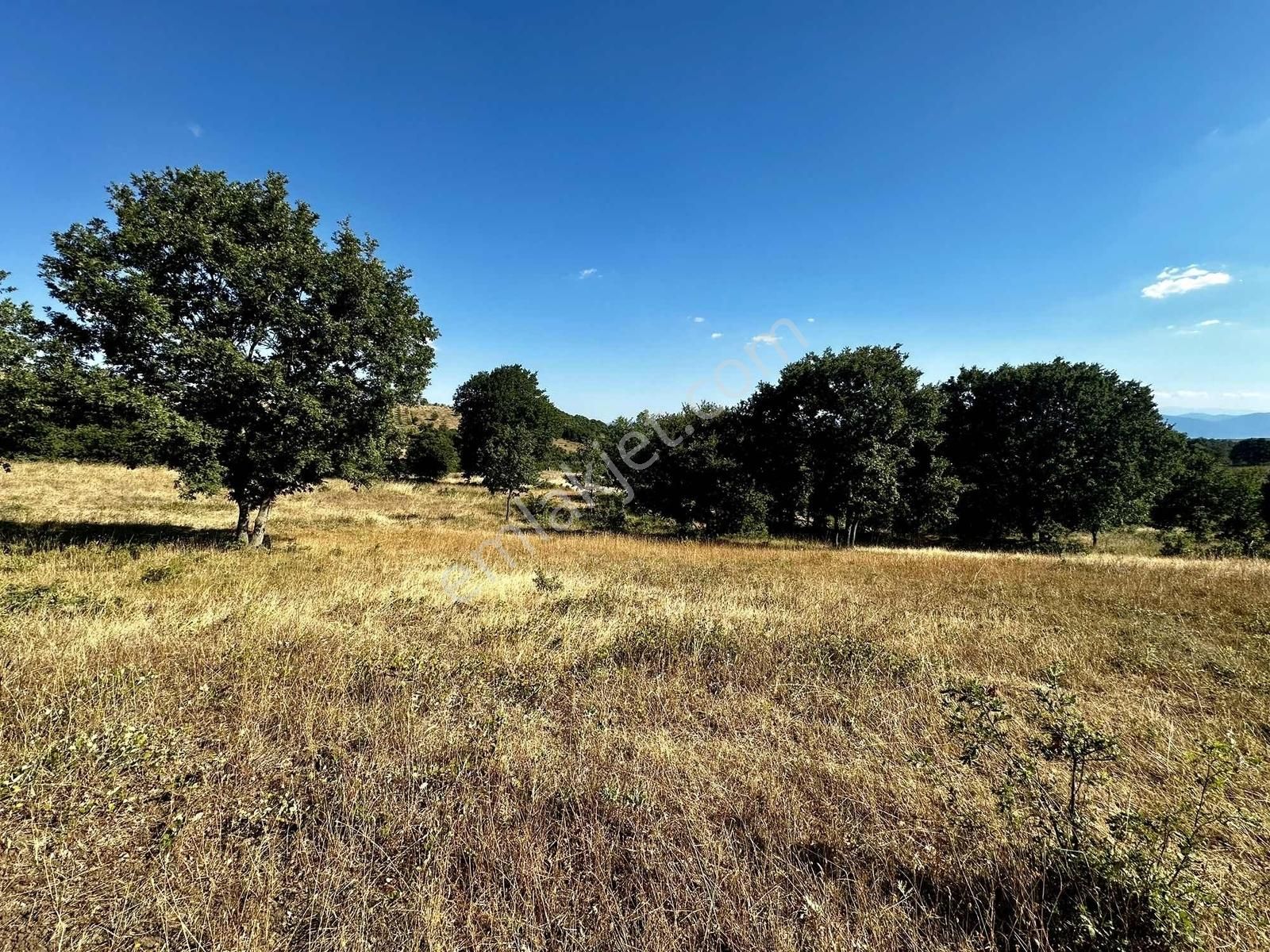 Yörükler'de Resmi Yola Cepheli 8 Dönüm Boş Tarla - Görsel 18