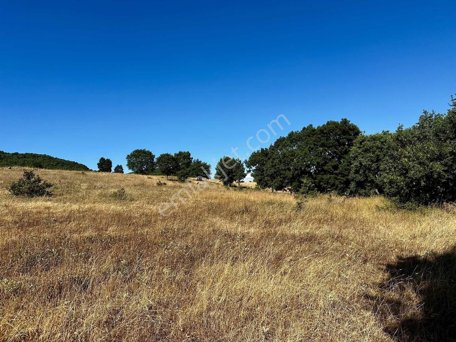 Yörükler'de Resmi Yola Cepheli 8 Dönüm Boş Tarla - Görsel 11