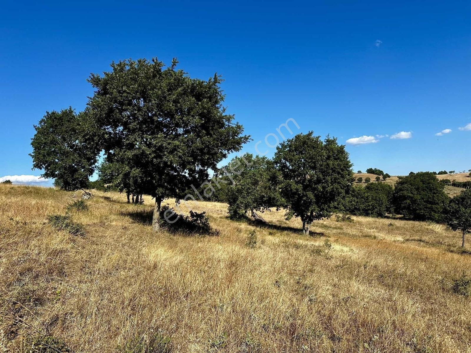 Yörükler'de Resmi Yola Cepheli 8 Dönüm Boş Tarla - Görsel 28