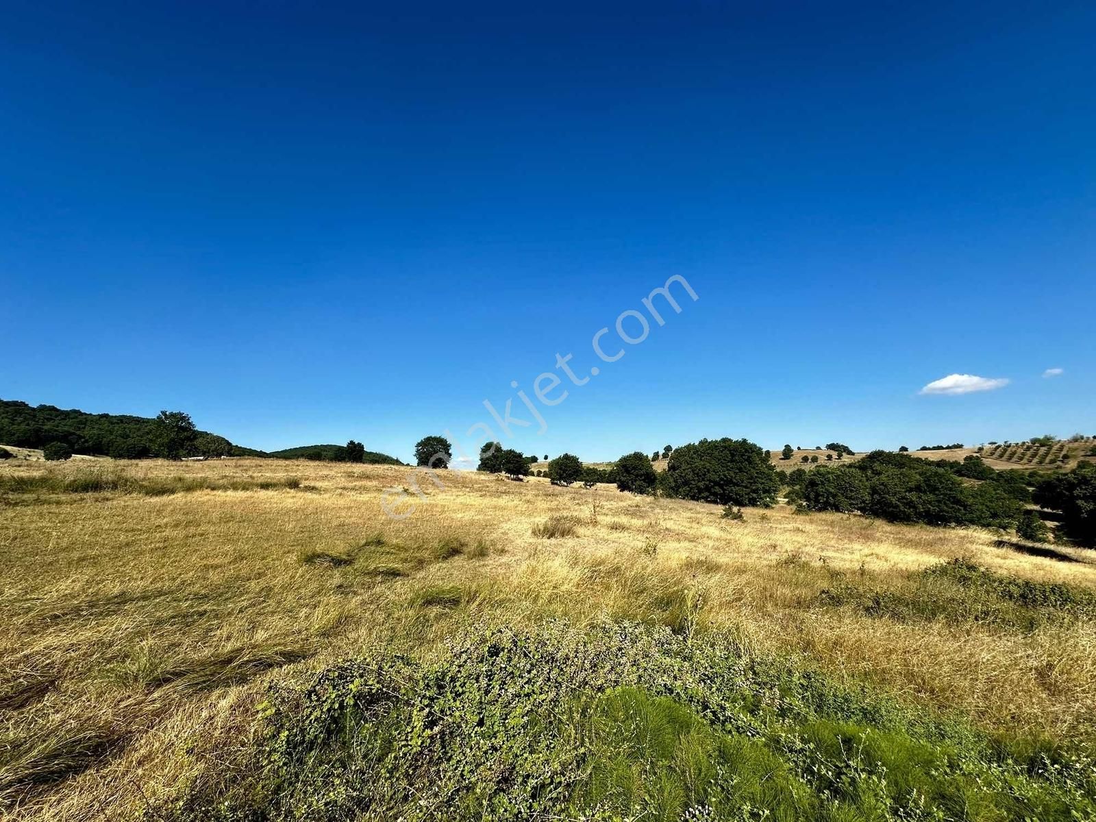 Yörükler'de Resmi Yola Cepheli 8 Dönüm Boş Tarla