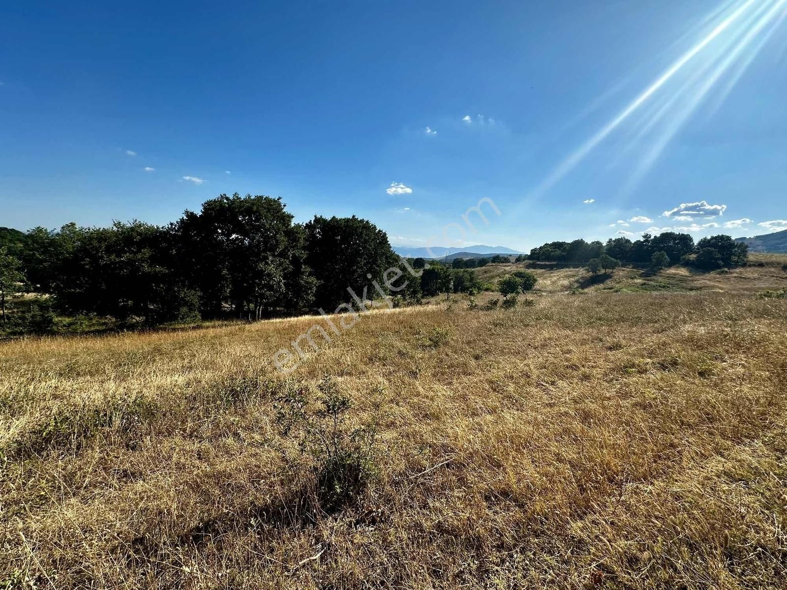 Yörükler'de Resmi Yola Cepheli 8 Dönüm Boş Tarla - Görsel 29