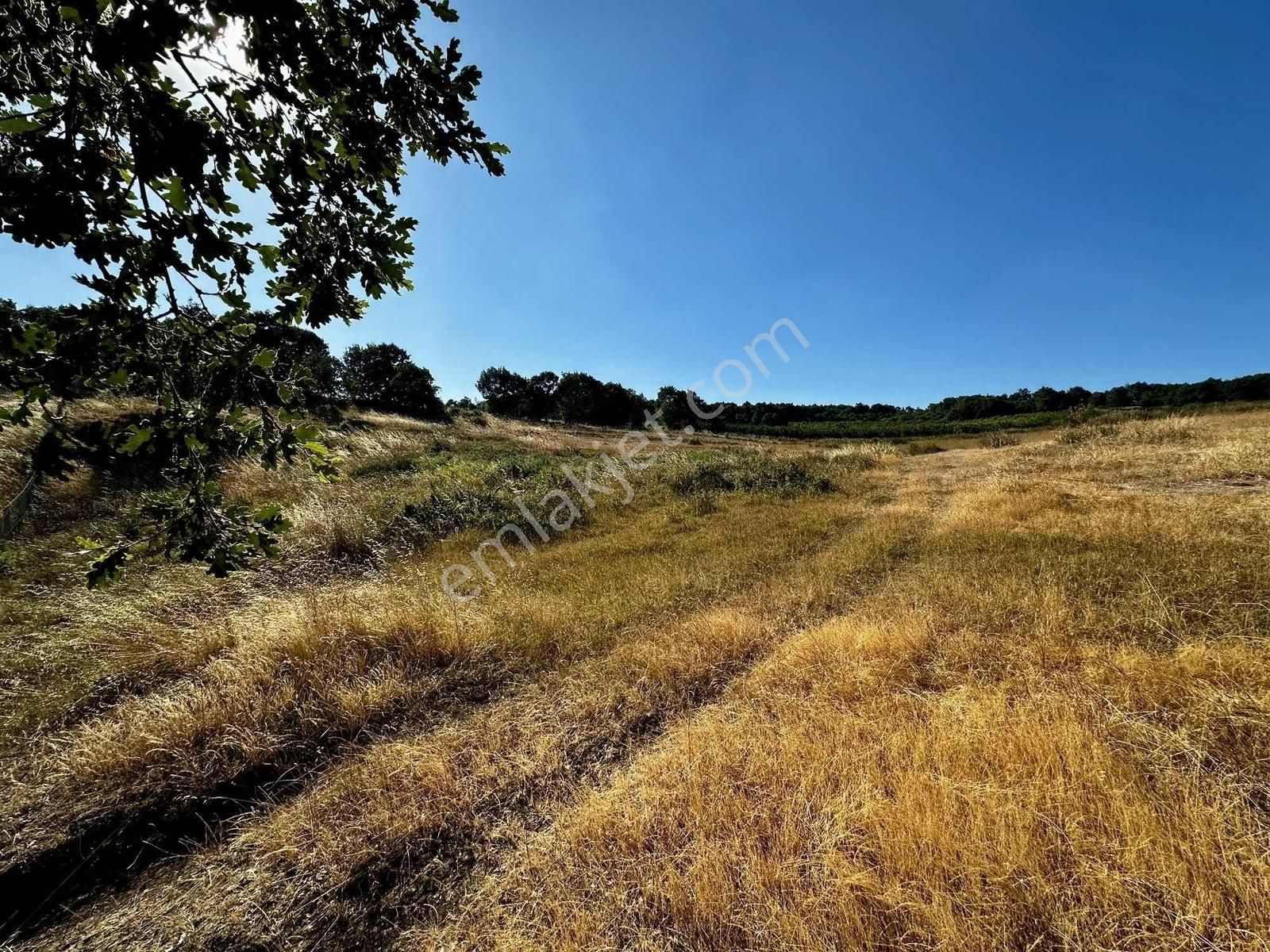 Yörükler'de Resmi Yola Cepheli 8 Dönüm Boş Tarla - Görsel 27