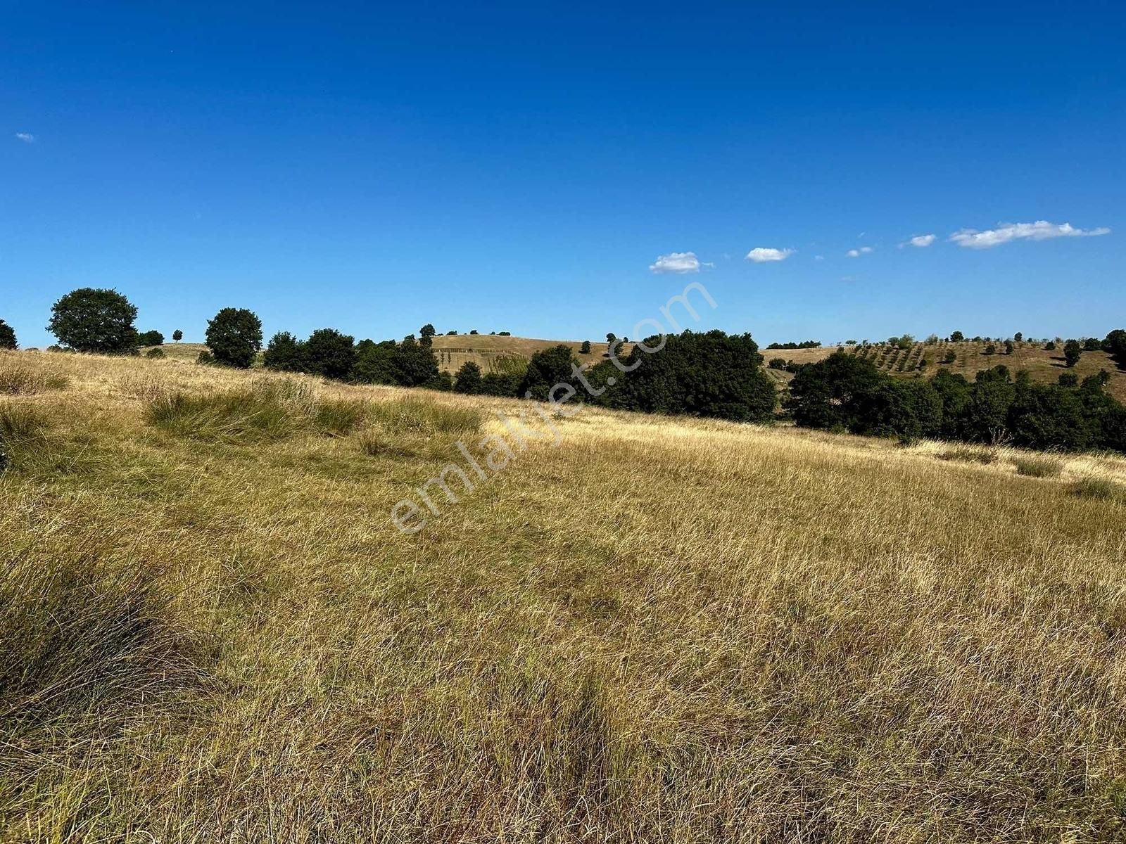 Yörükler'de Resmi Yola Cepheli 8 Dönüm Boş Tarla - Görsel 20