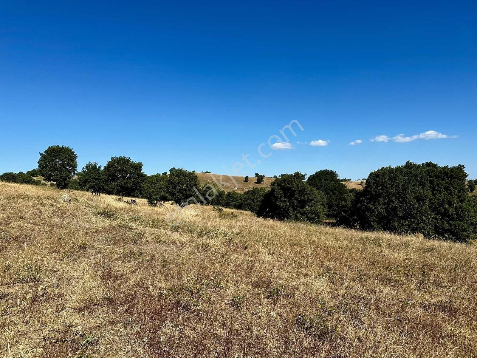 Yörükler'de Resmi Yola Cepheli 8 Dönüm Boş Tarla - Görsel 21