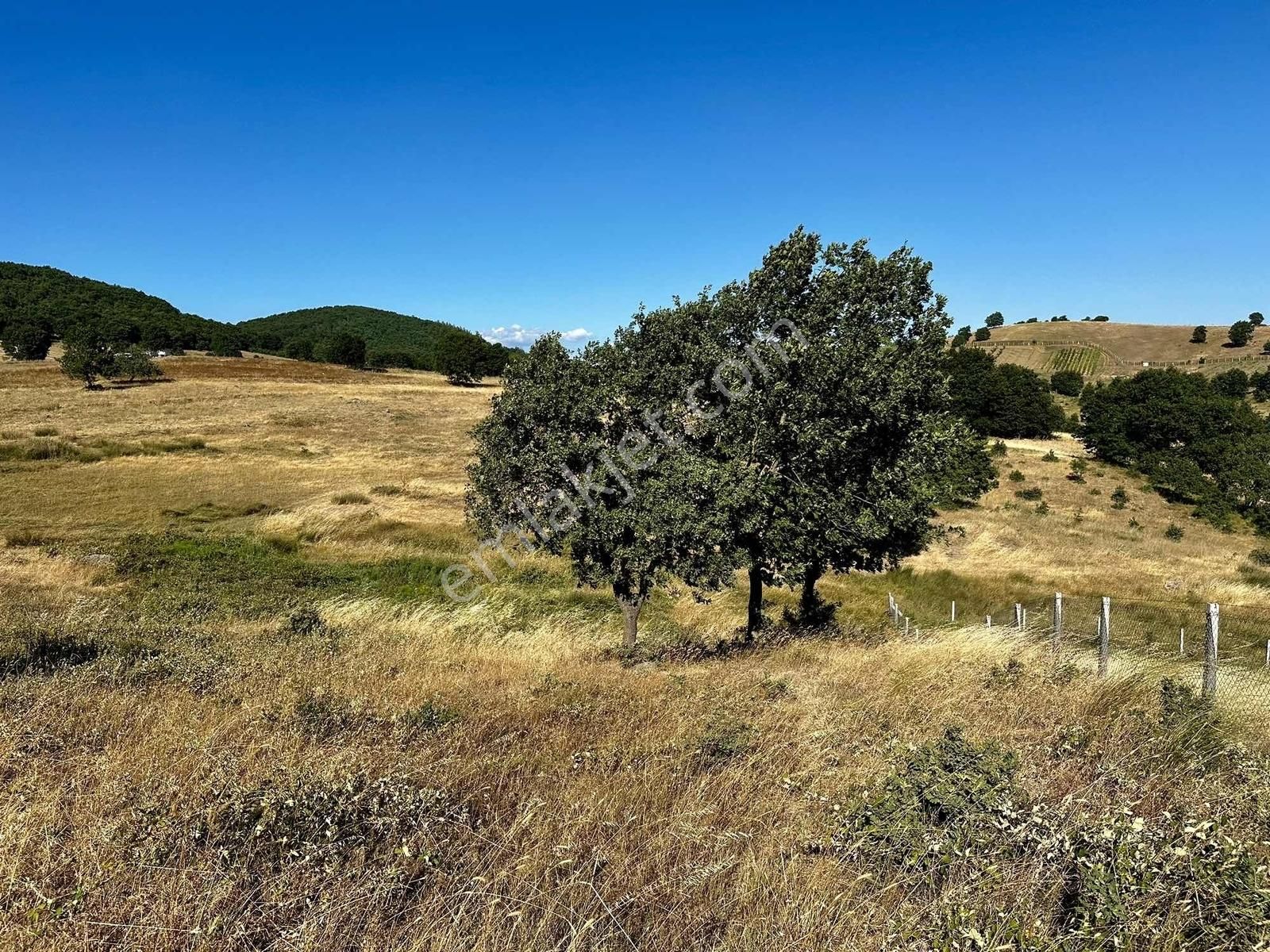 Yörükler'de Resmi Yola Cepheli 8 Dönüm Boş Tarla - Görsel 33