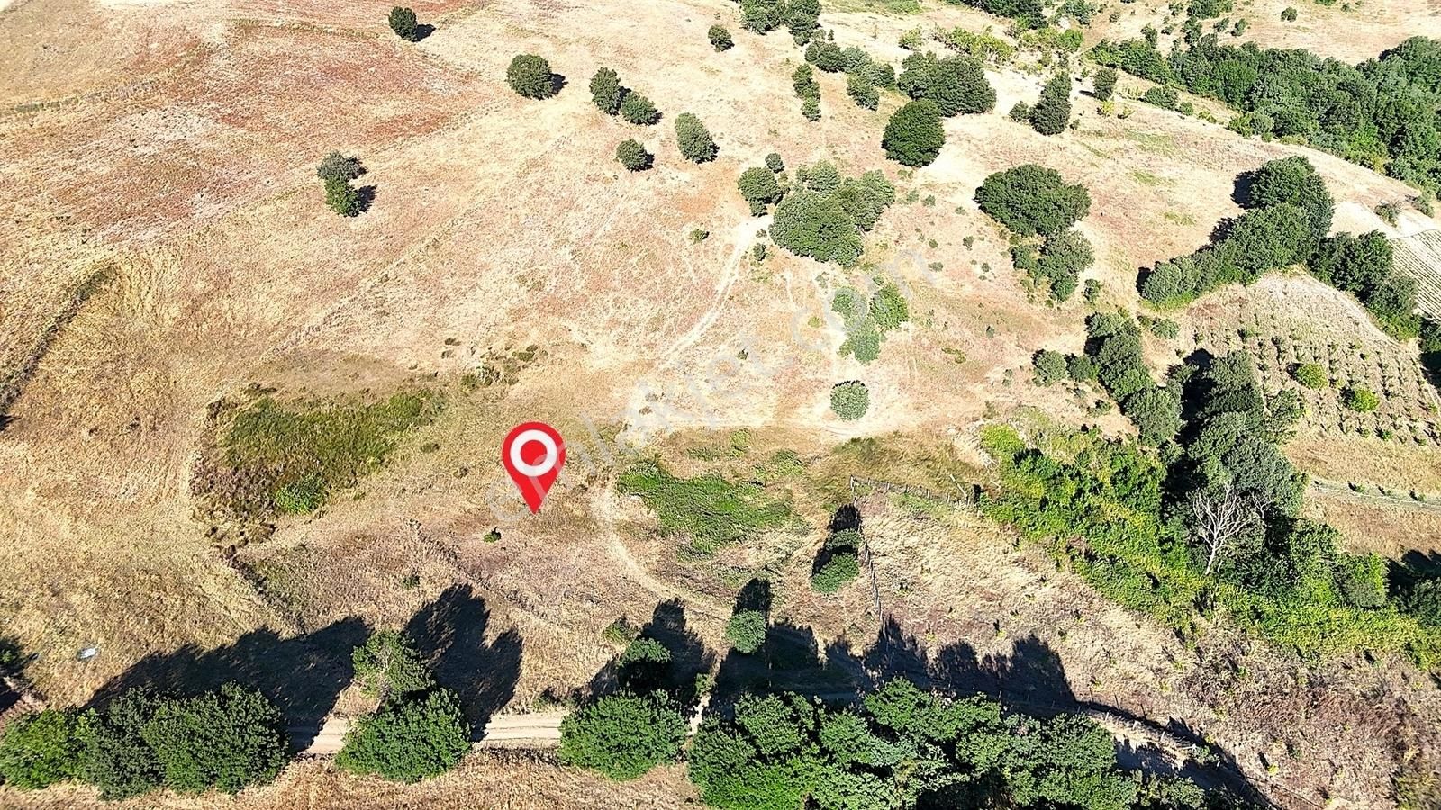 Yörükler'de Resmi Yola Cepheli 8 Dönüm Boş Tarla - Görsel 8