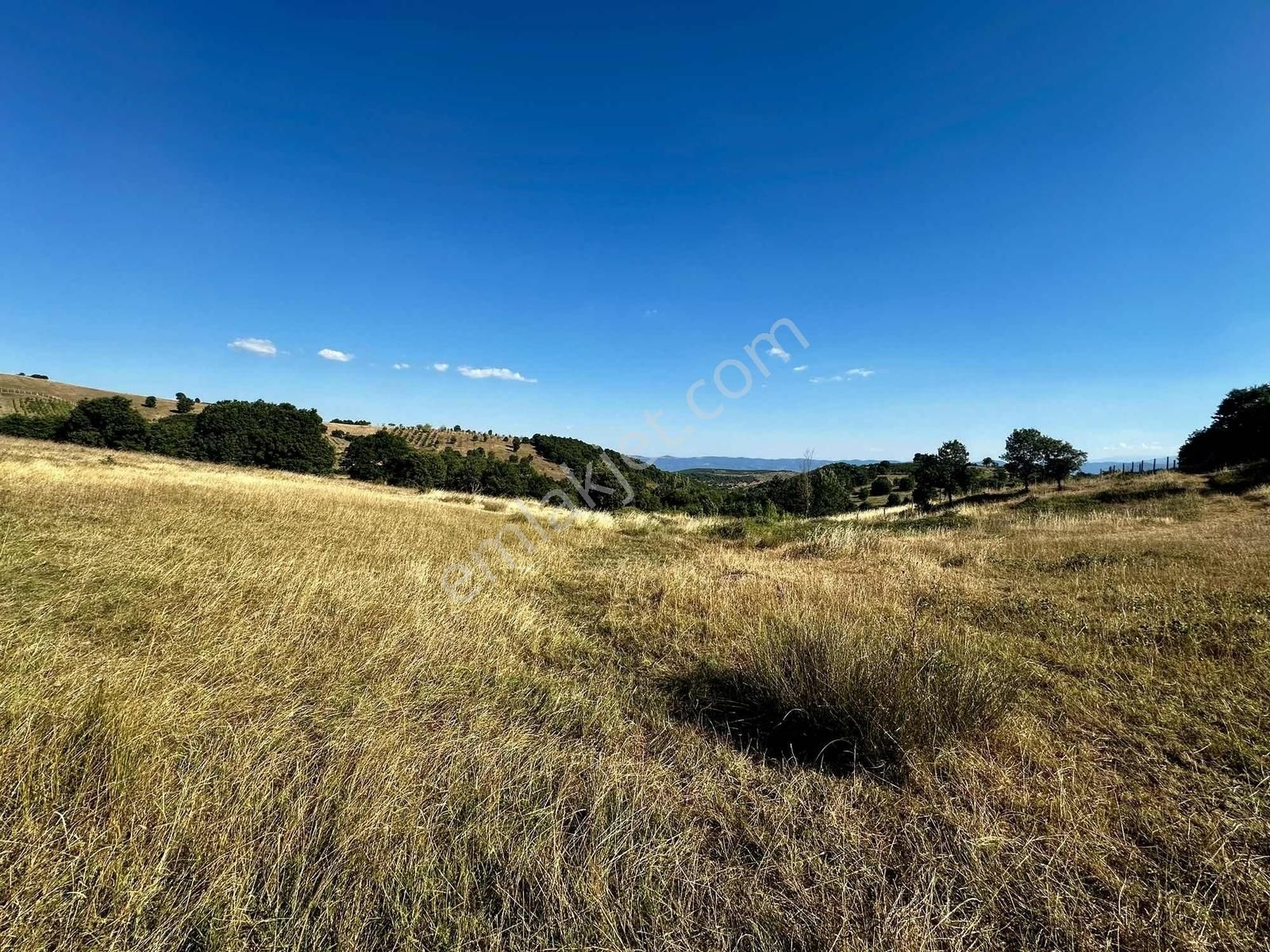 Yörükler'de Resmi Yola Cepheli 8 Dönüm Boş Tarla - Görsel 31