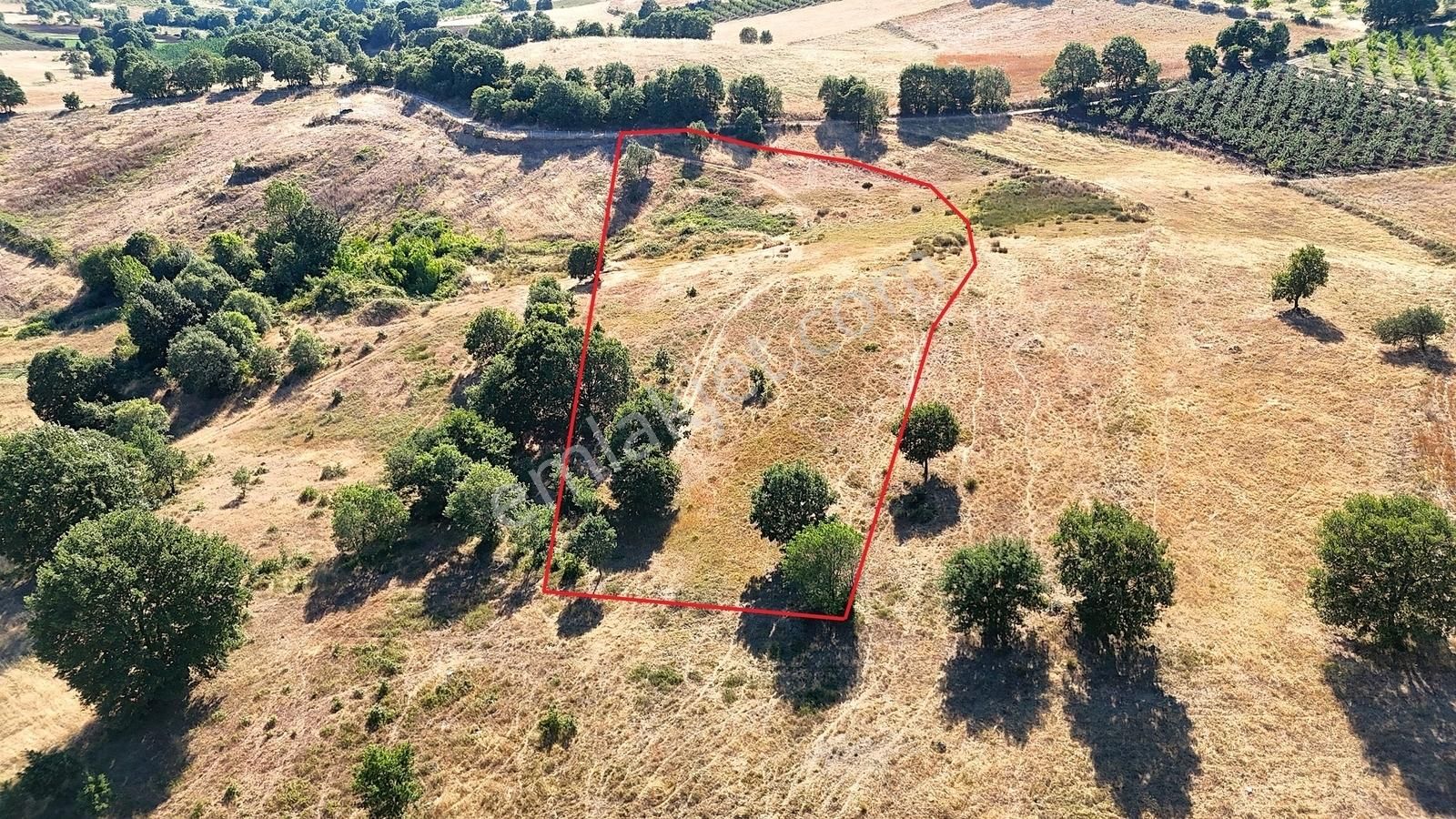 Yörükler'de Resmi Yola Cepheli 8 Dönüm Boş Tarla - Görsel 24