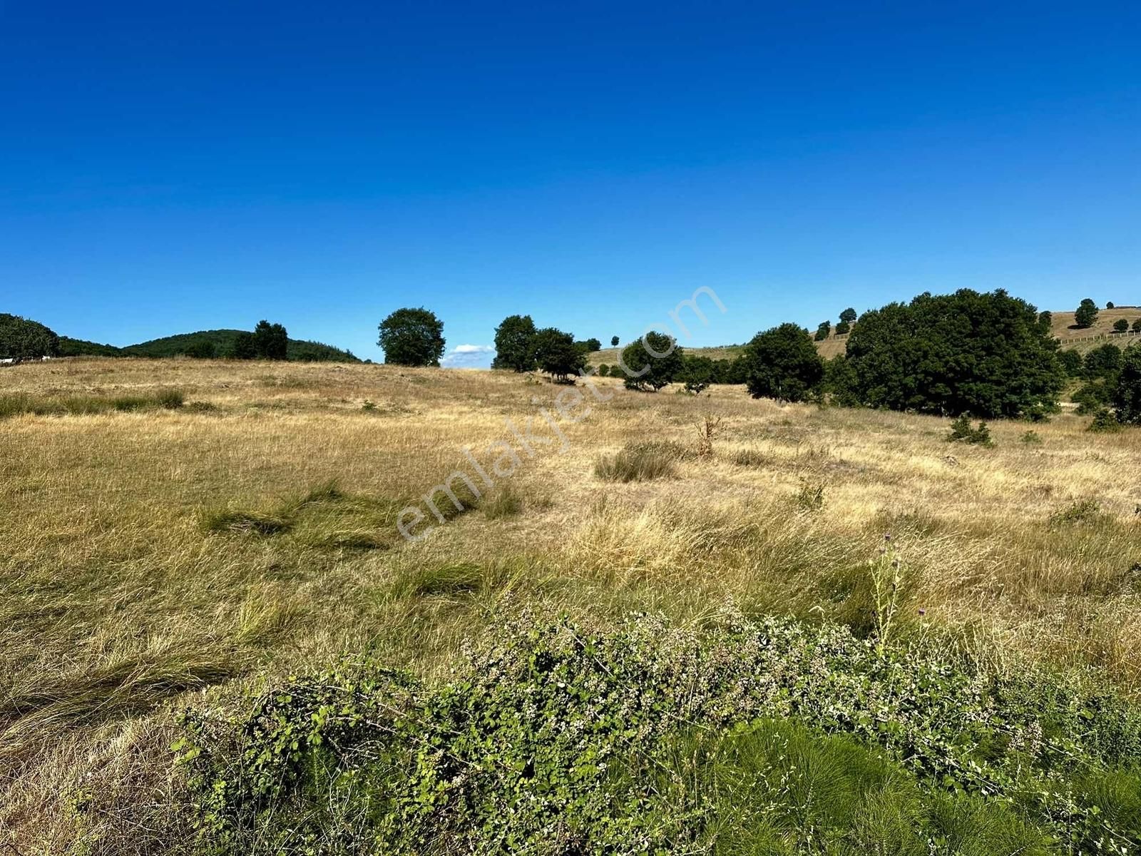 Yörükler'de Resmi Yola Cepheli 8 Dönüm Boş Tarla - Görsel 3