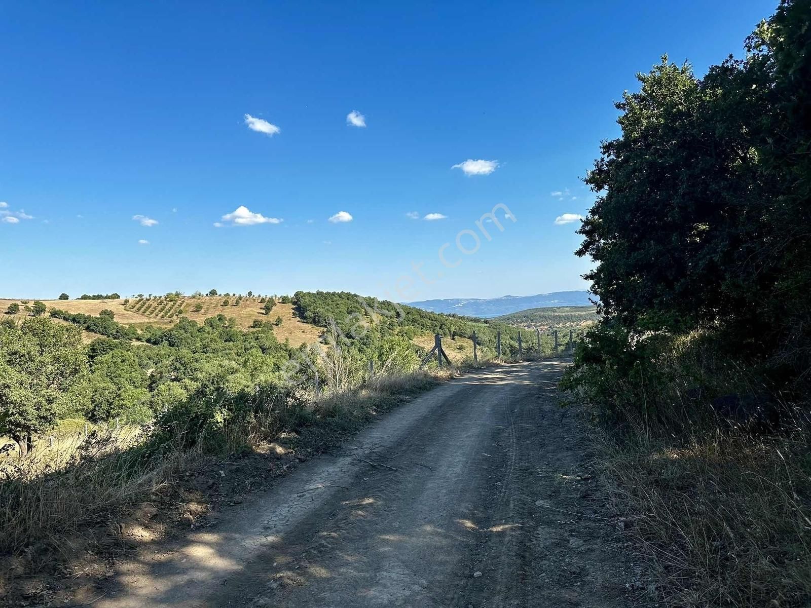 Yörükler'de Resmi Yola Cepheli 8 Dönüm Boş Tarla - Görsel 23