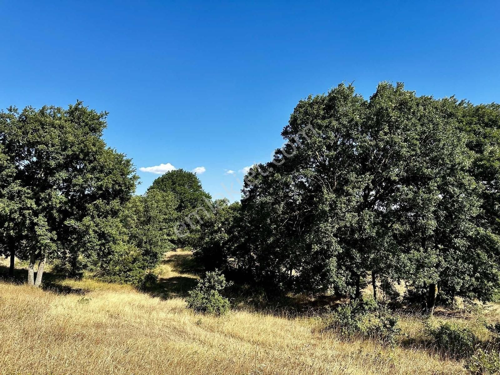 Yörükler'de Resmi Yola Cepheli 8 Dönüm Boş Tarla - Görsel 5