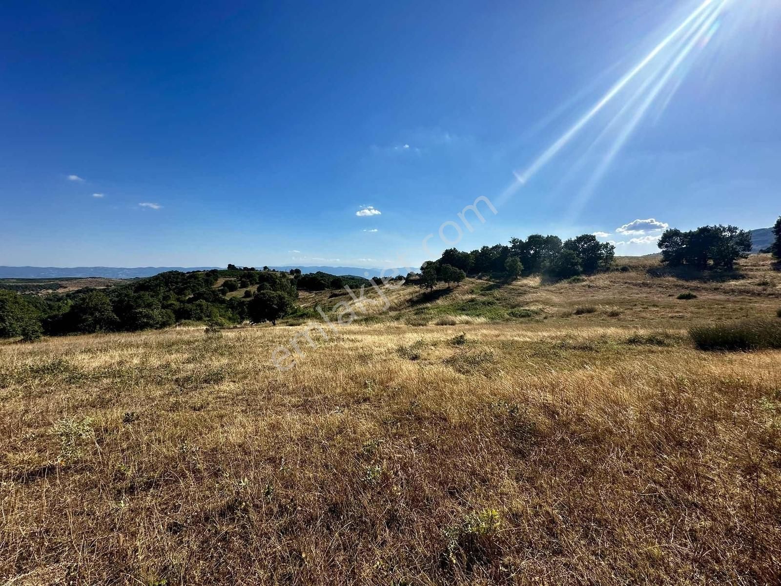 Yörükler'de Resmi Yola Cepheli 8 Dönüm Boş Tarla - Görsel 32