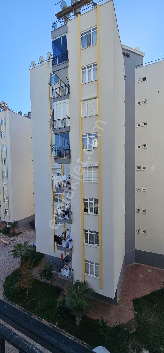 Liman Da Ara Kat 3+1 Doğalgazlı Ayrımutfaklı Kiralık - Görsel 6