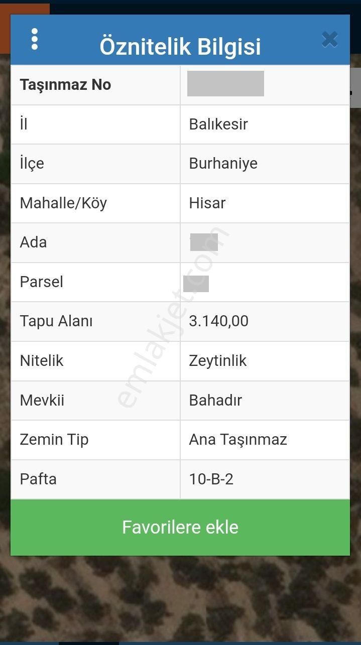 Balıkesir Burhaniye Karadere"de Satılık 1.357m2 Harika Zeytinlik - Görsel 2