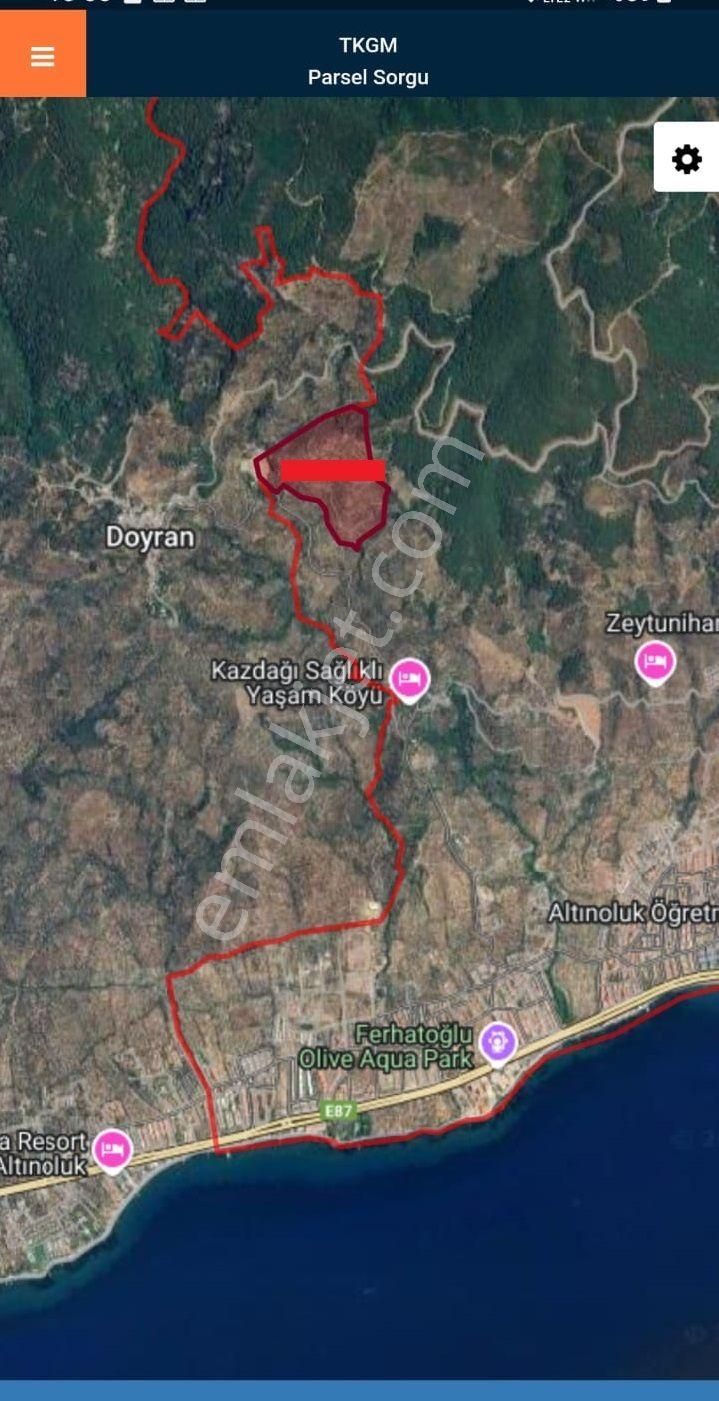 Balıkesir Edremit Altınoluk "da Satılık Deniz Manzaralı 178.008m2 Harika Zeytinlik - Görsel 2
