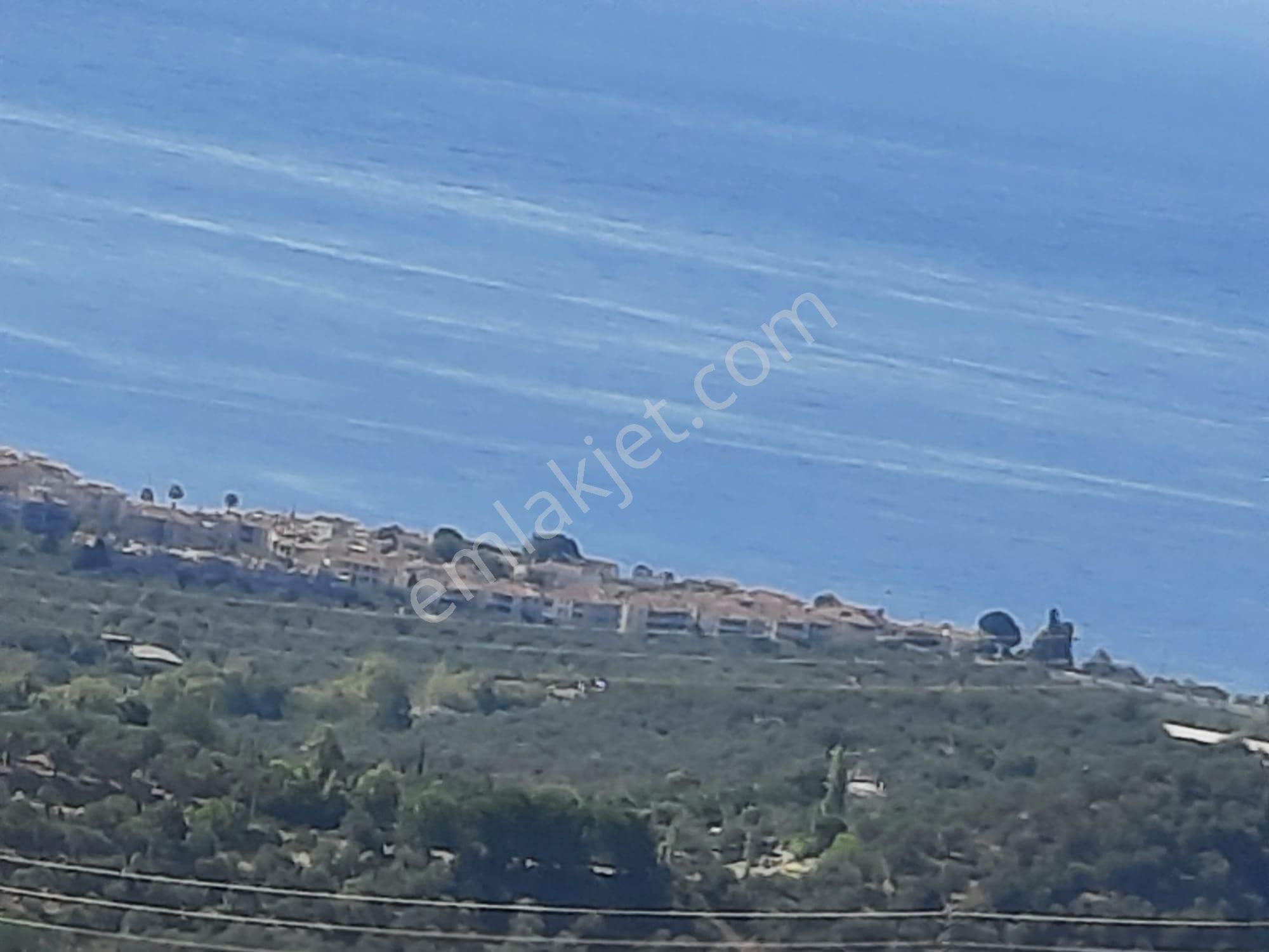 Balıkesir Edremit Altınoluk "da Satılık Deniz Manzaralı 178.008m2 Harika Zeytinlik - Görsel 6