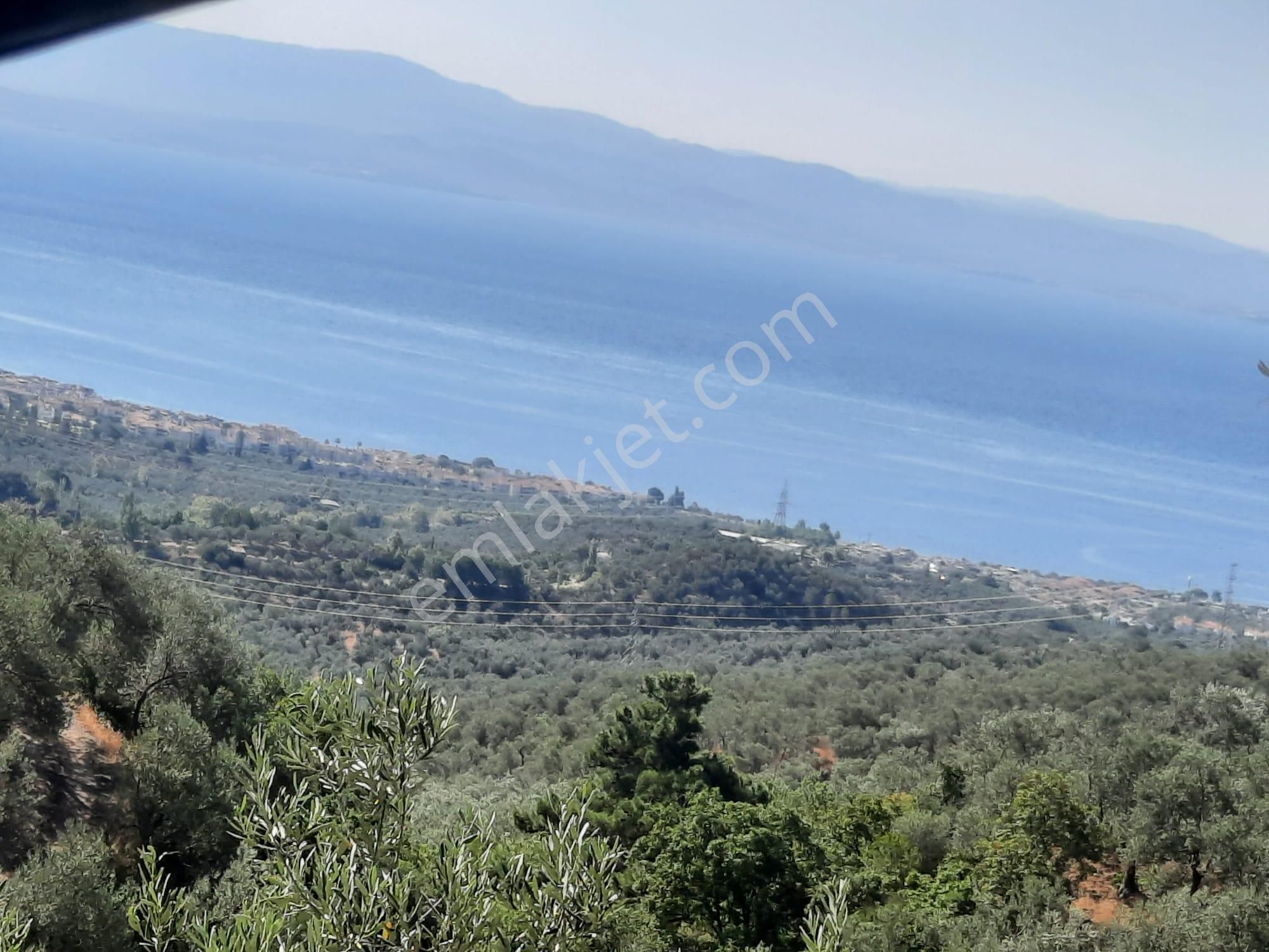 Balıkesir Edremit Altınoluk "da Satılık Deniz Manzaralı 178.008m2 Harika Zeytinlik - Görsel 5