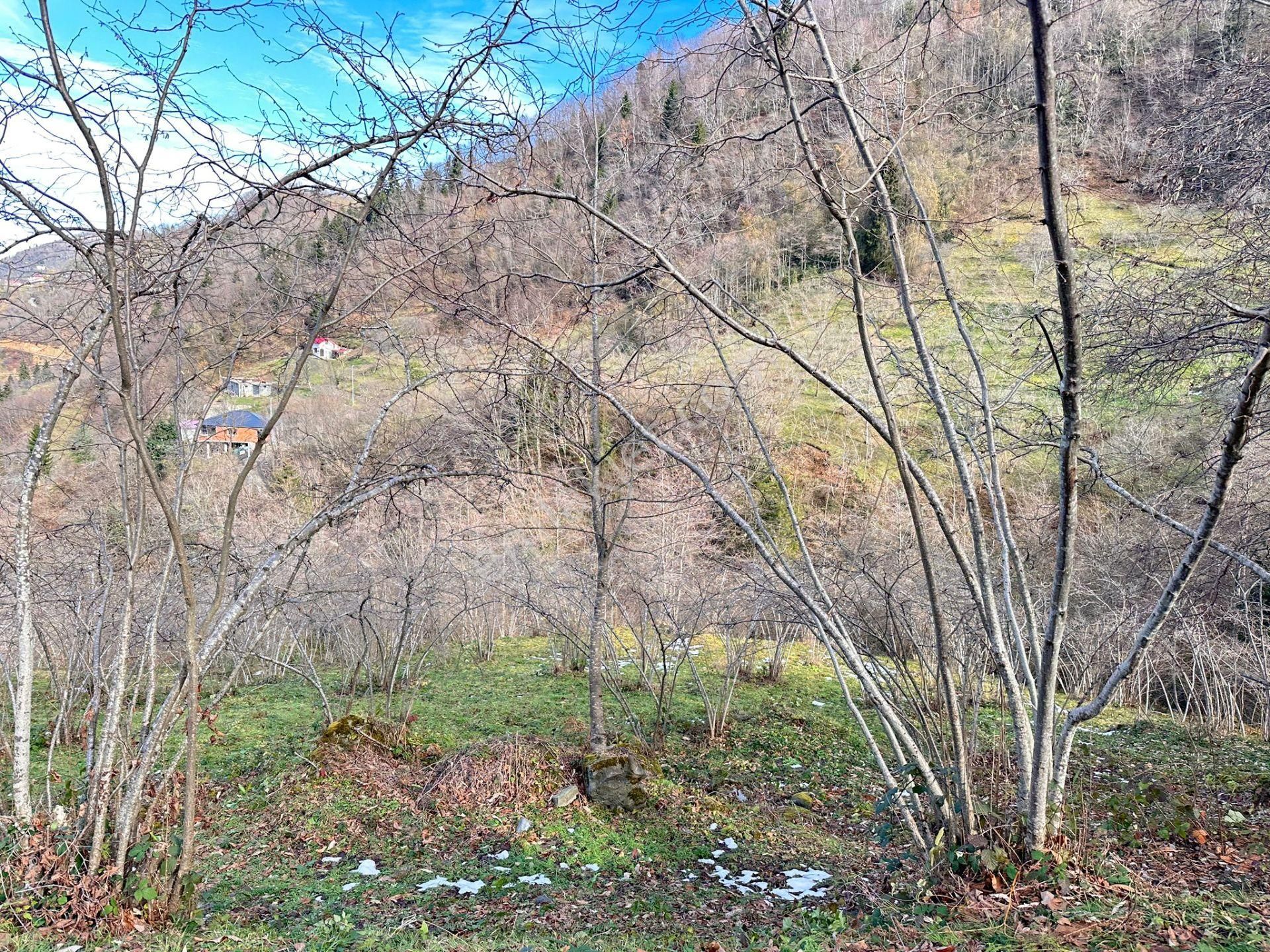 Trabzon Ortahisar İlçesi Yeşilbük Mah.satılık Arazi - Görsel 3