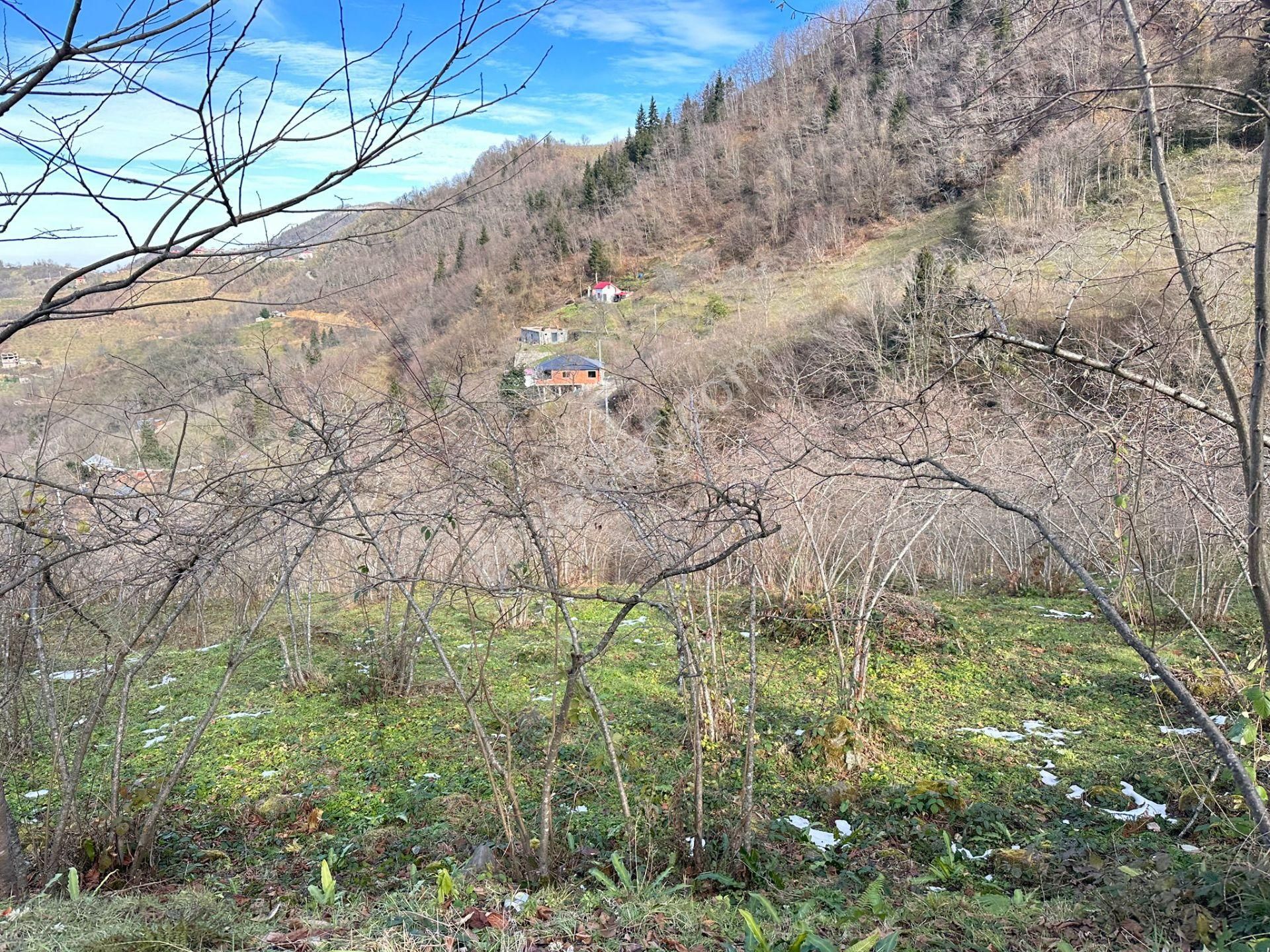 Trabzon Ortahisar İlçesi Yeşilbük Mah.satılık Arazi