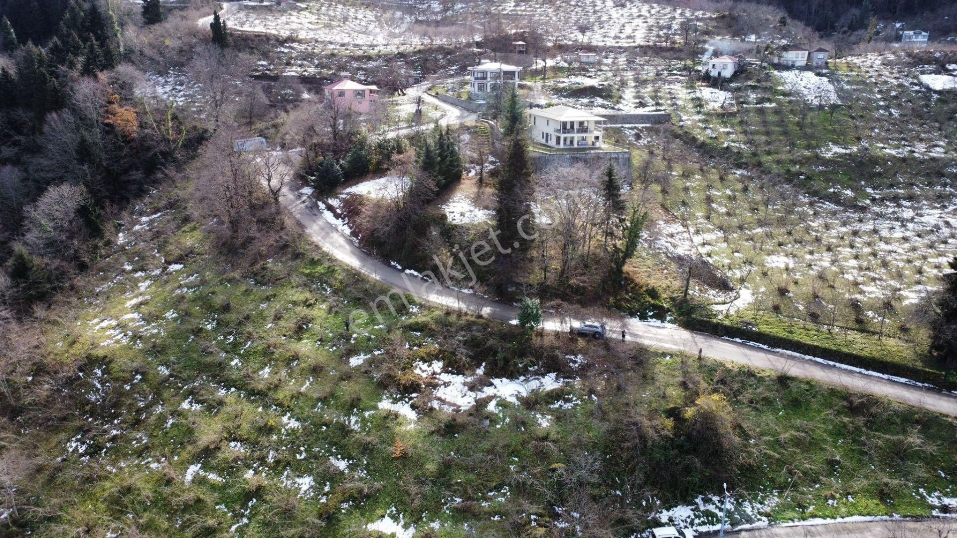 Trabzon Ortahisar İlçesi Yeşilbük Mah.satılık Arazi - Görsel 19