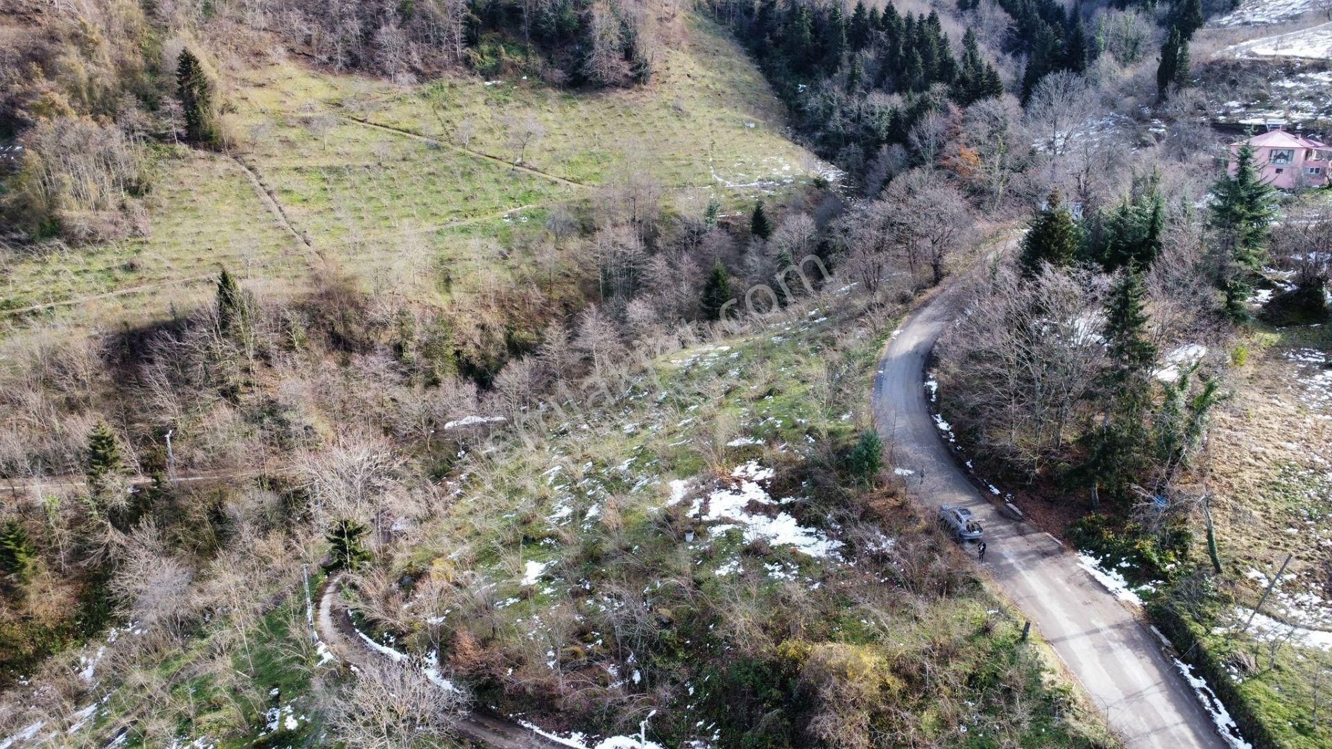 Trabzon Ortahisar İlçesi Yeşilbük Mah.satılık Arazi - Görsel 21