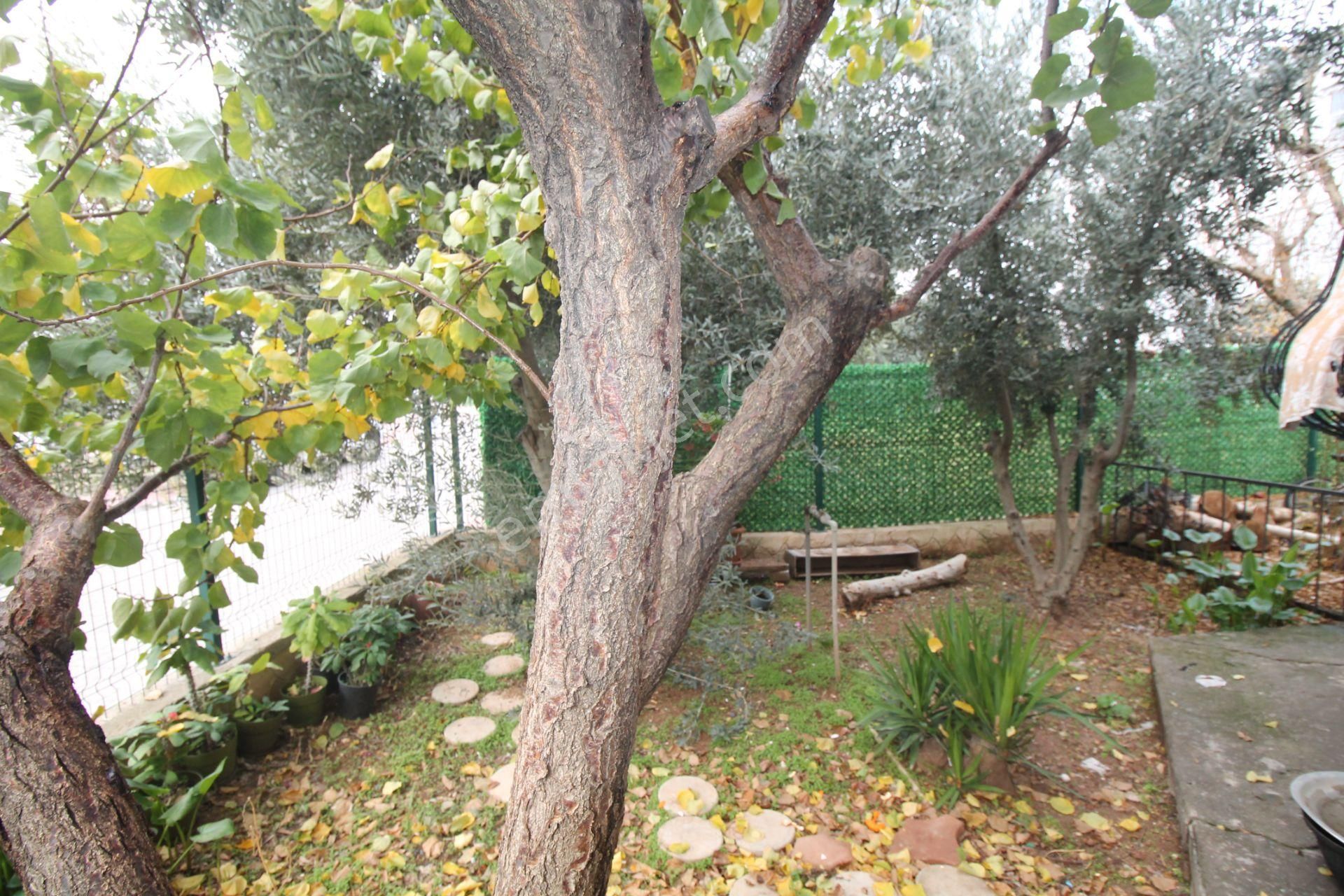 Retro’dan H.okan Merzeci Mah’de Nezih Dubleks B.mutfak 4+1 - Görsel 32