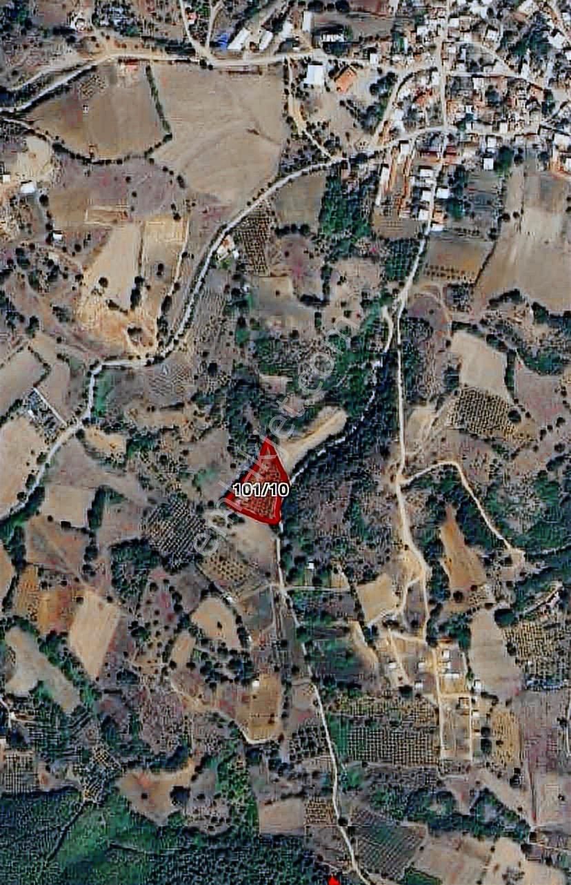 Dialog Prestij Kestel Ümitalan Kadastro Yoluna Cepheli Tarla