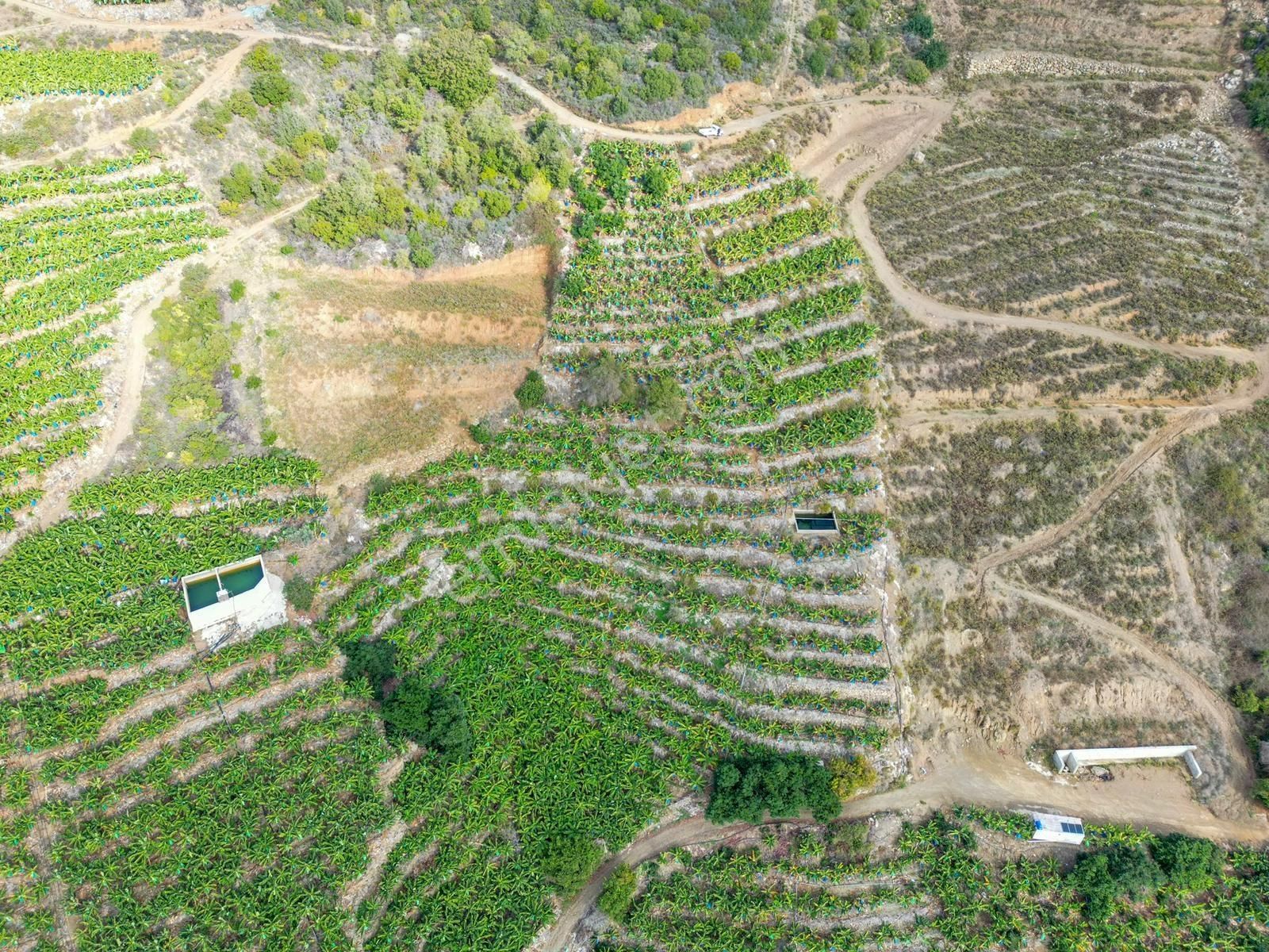 Alanya Gazipaşa Muz Kentte Özel İmarlı Villalık Satılık Arsa - Görsel 3