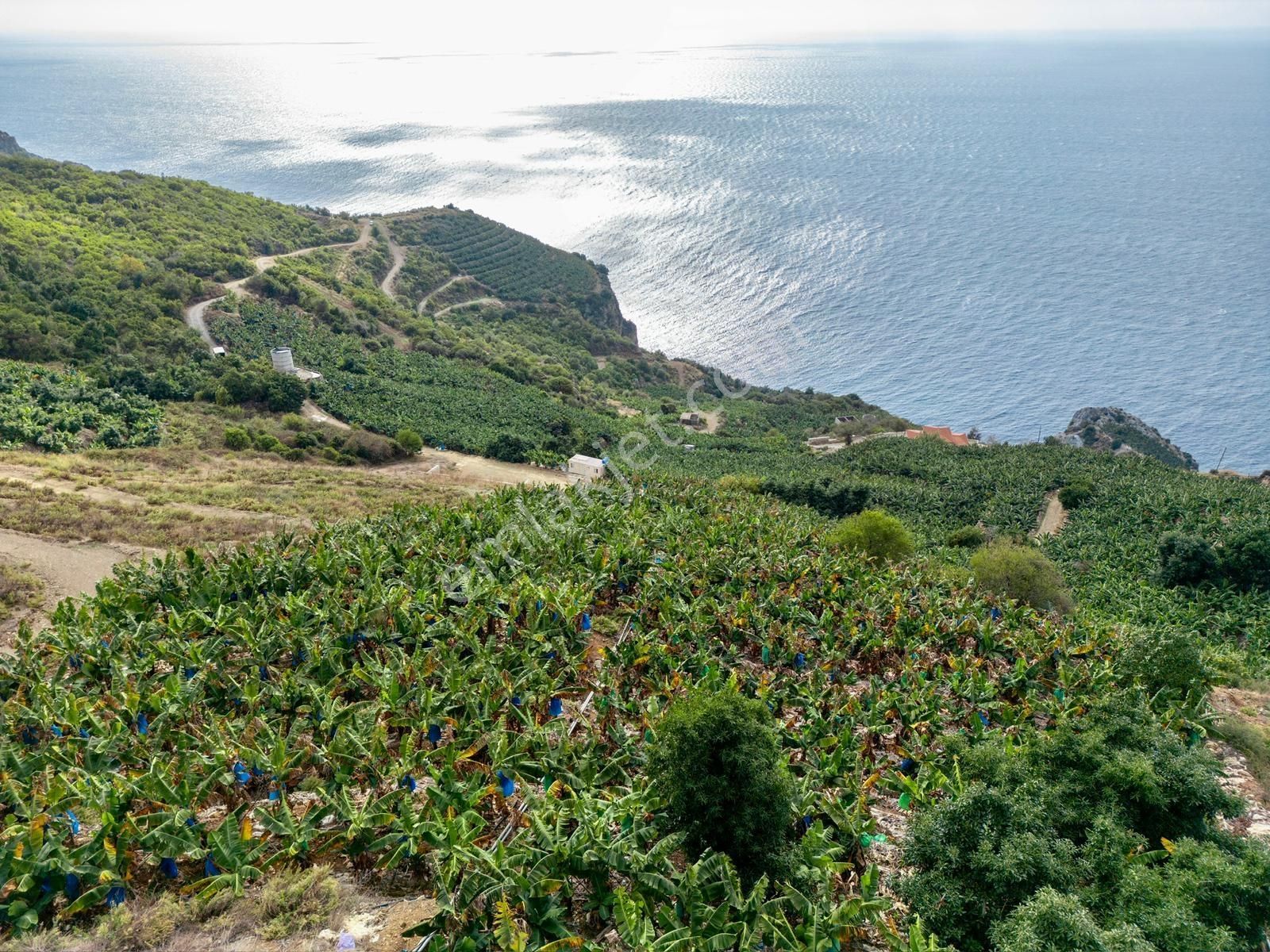 Alanya Gazipaşa Muz Kentte Özel İmarlı Villalık Satılık Arsa - Görsel 4
