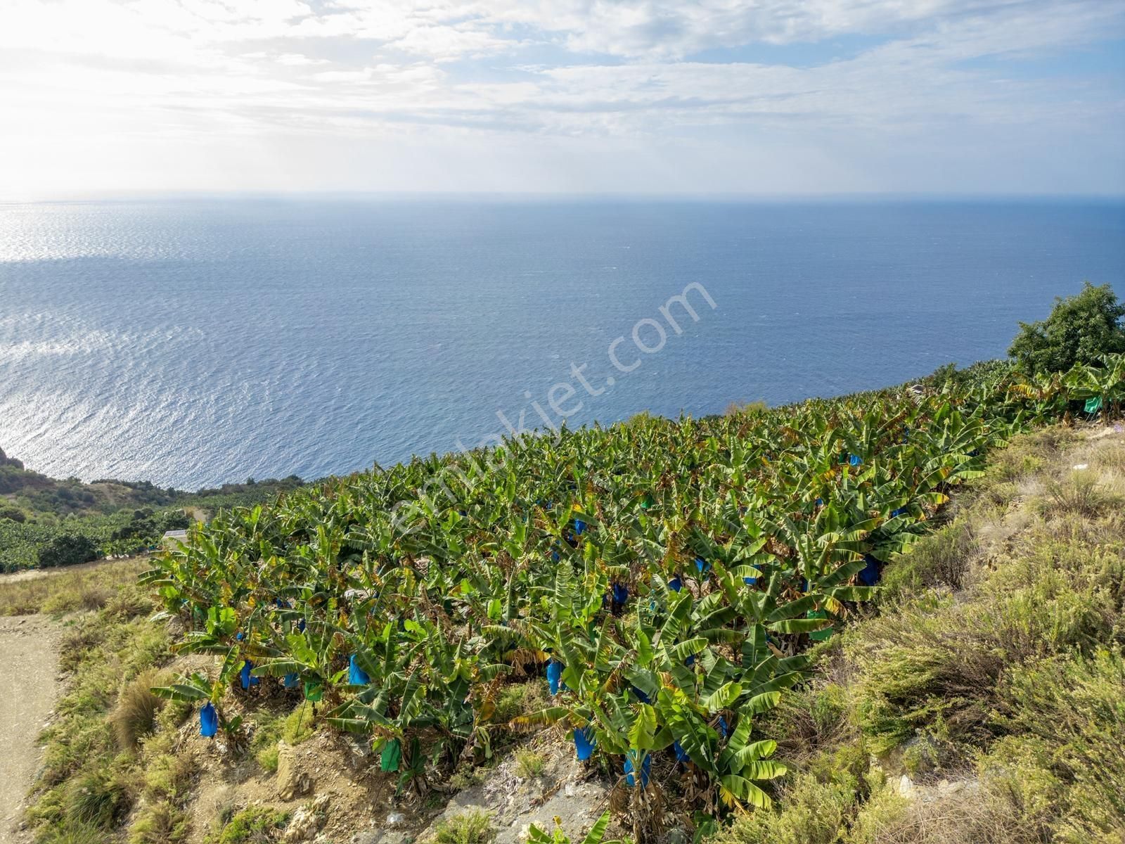 Alanya Gazipaşa Muz Kentte Özel İmarlı Villalık Satılık Arsa - Görsel 7