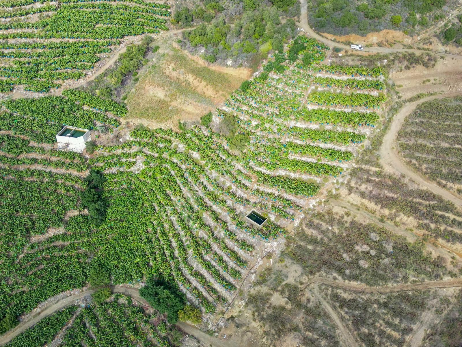 Alanya Gazipaşa Muz Kentte Özel İmarlı Villalık Satılık Arsa - Görsel 8