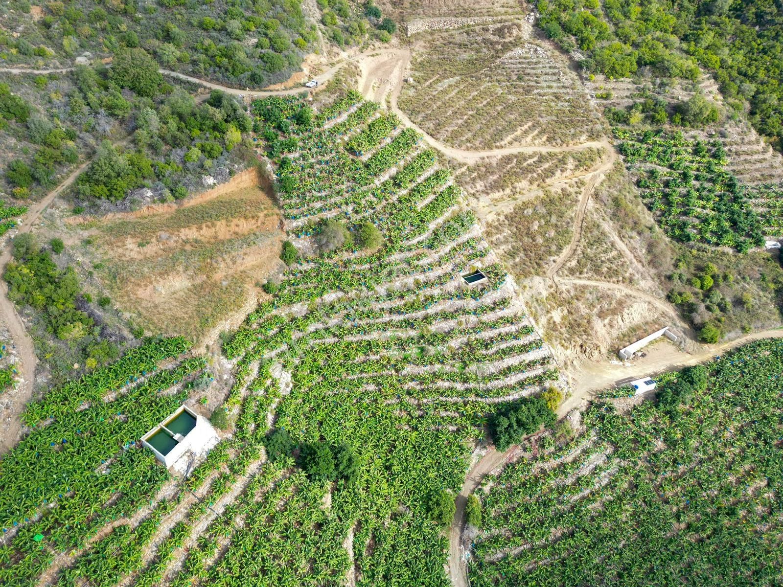 Alanya Gazipaşa Muz Kentte Özel İmarlı Villalık Satılık Arsa - Görsel 5
