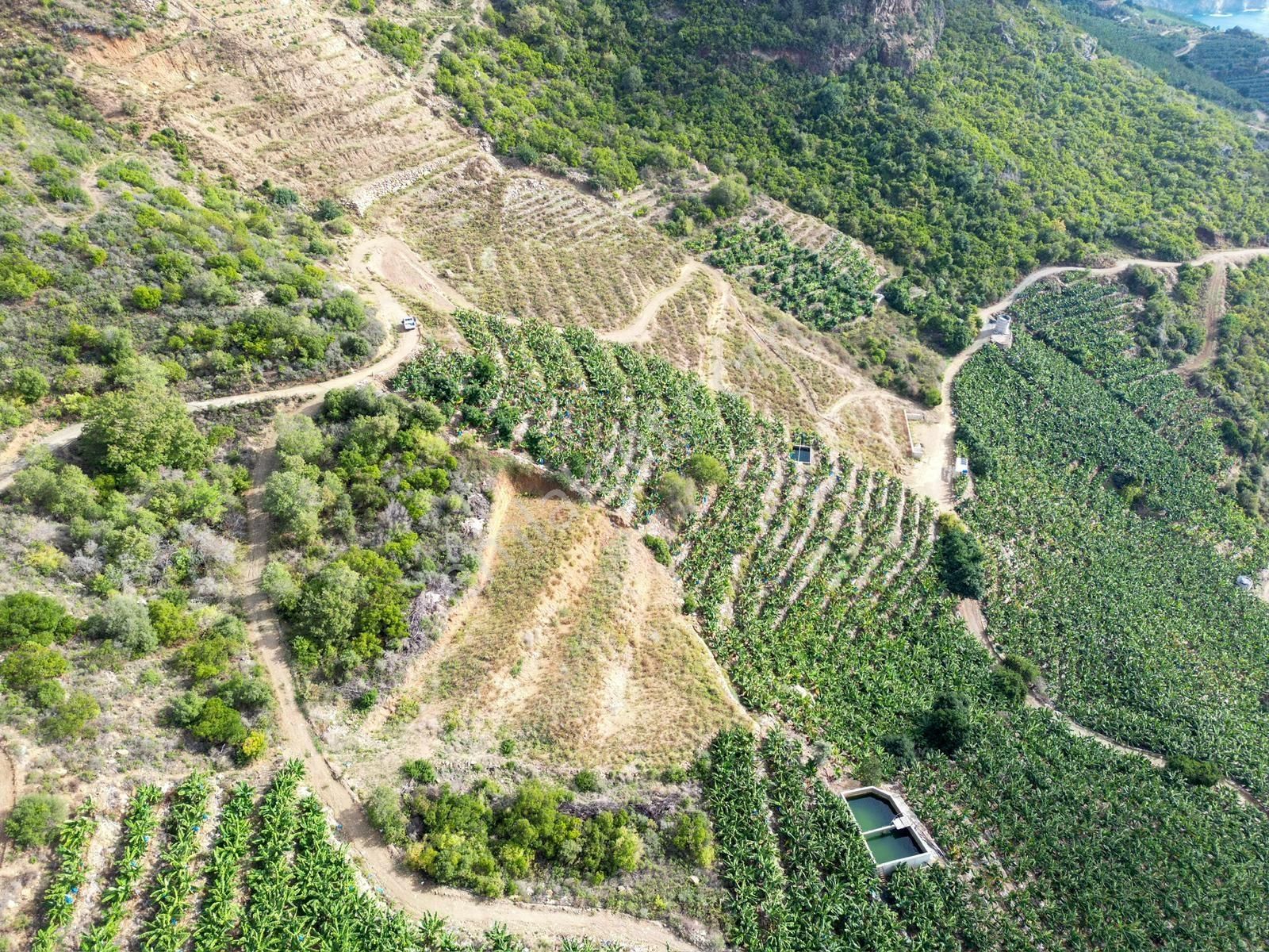 Alanya Gazipaşa Muz Kentte Özel İmarlı Villalık Satılık Arsa - Görsel 2