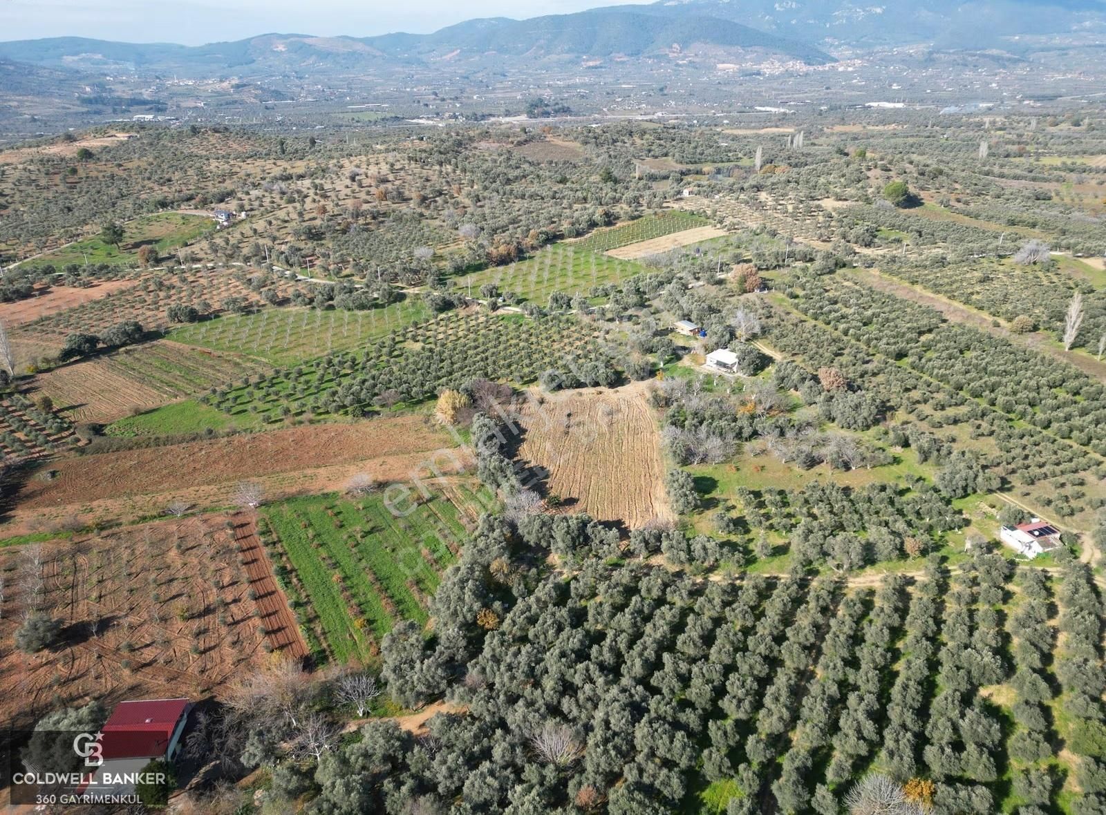 İzmir/torbalı/karakızlar Tek Tapu 3.677 M2 Satılık Tarla - Görsel 11