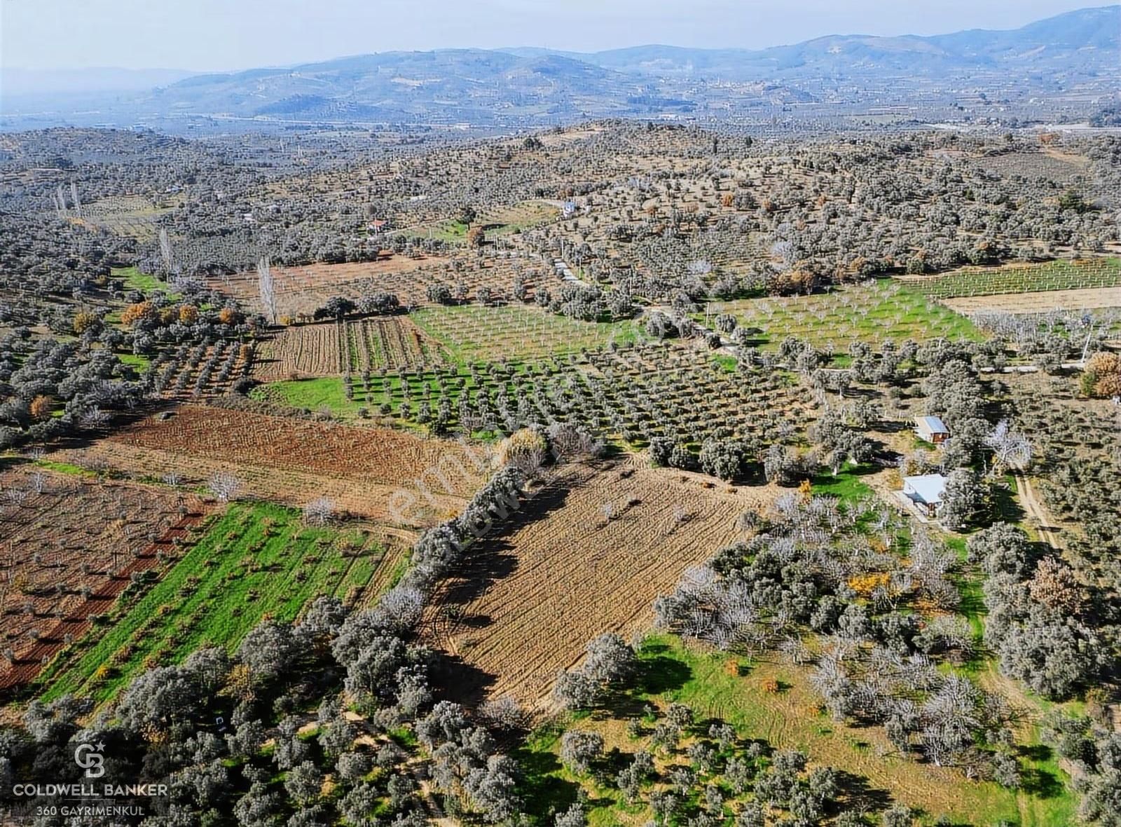 İzmir/torbalı/karakızlar Tek Tapu 3.677 M2 Satılık Tarla - Görsel 5
