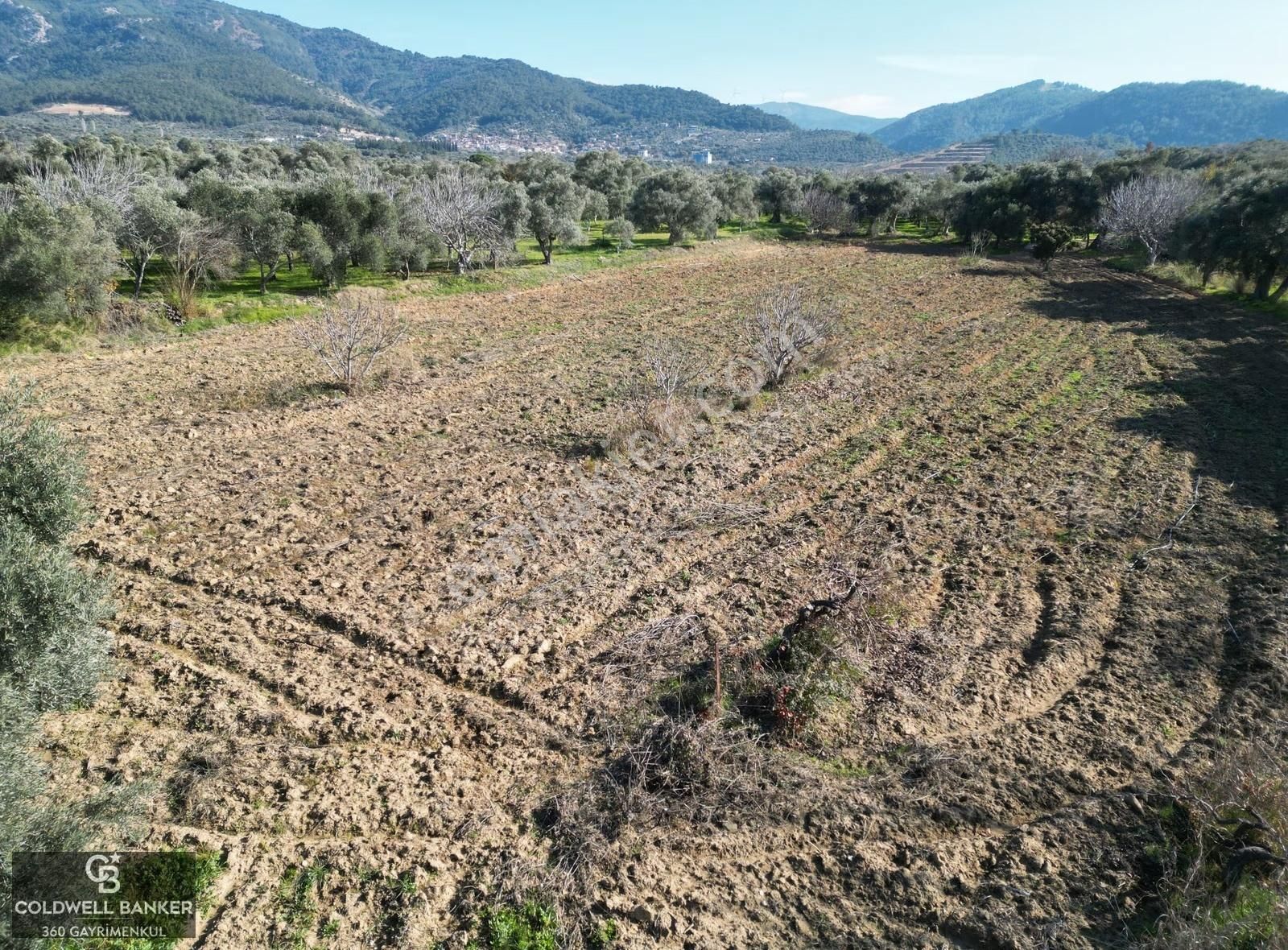 İzmir/torbalı/karakızlar Tek Tapu 3.677 M2 Satılık Tarla - Görsel 16